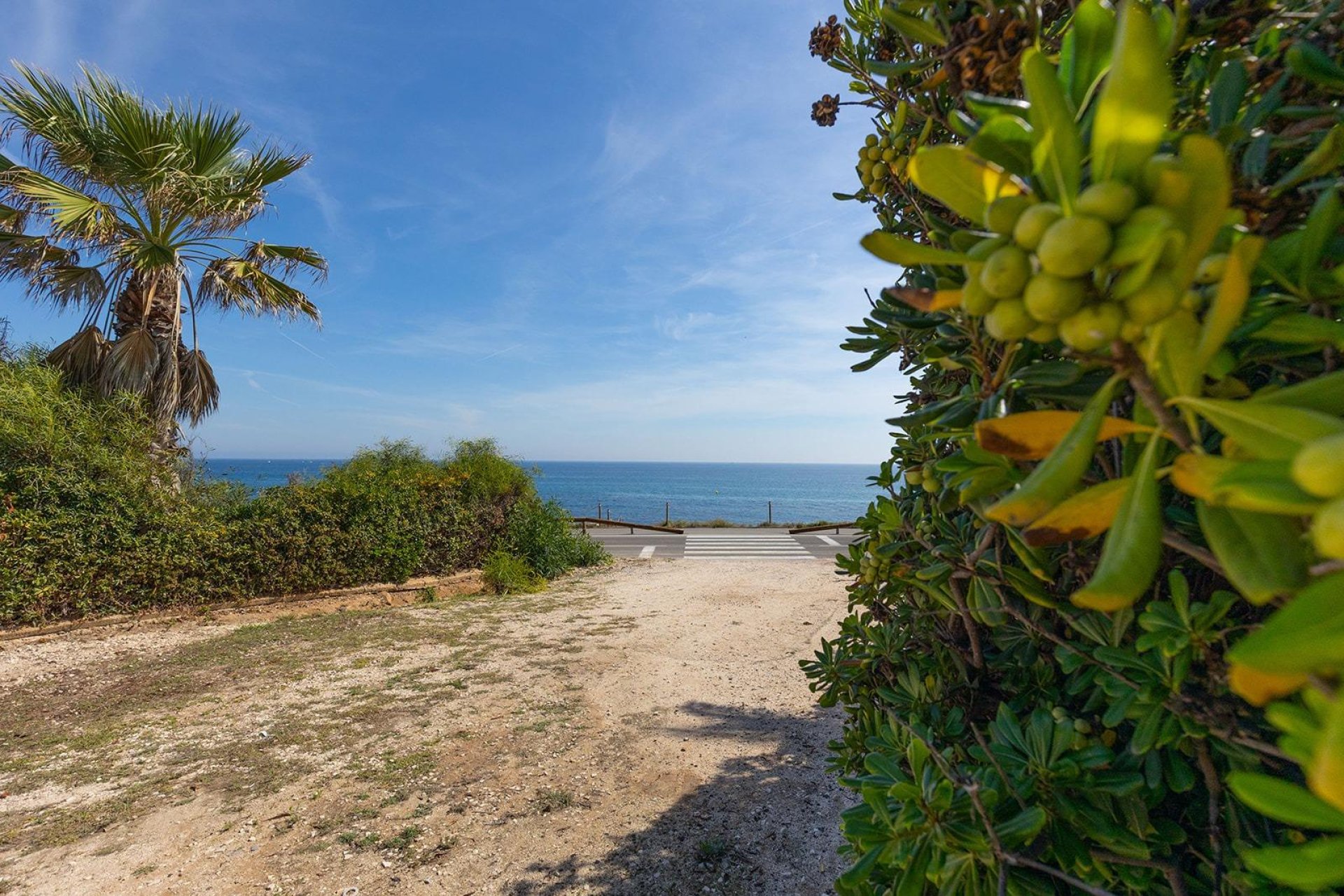 Reventa - Apartamento - Torrevieja - La Mata