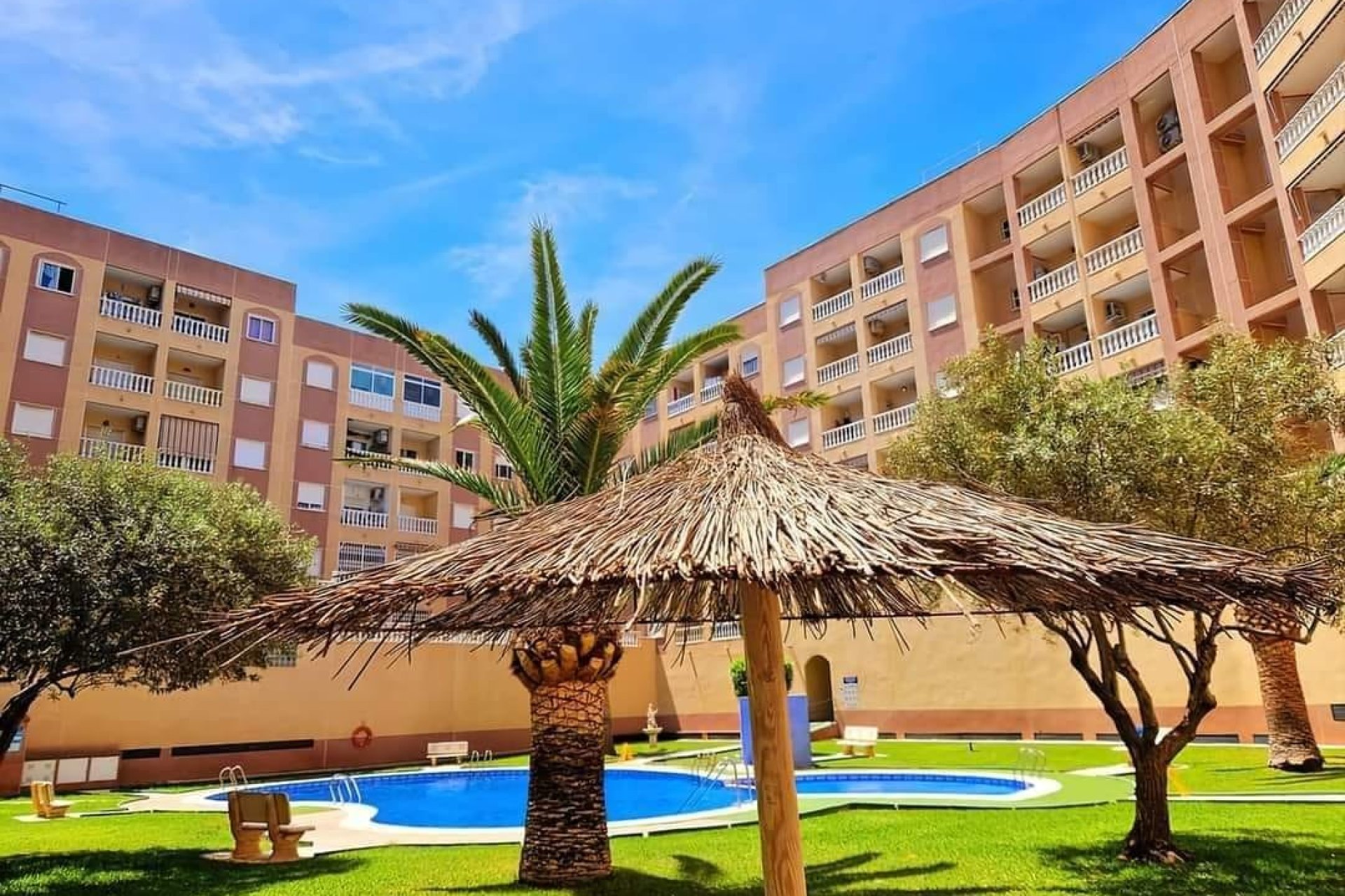 Reventa - Apartamento - Torrevieja - Parque las naciones