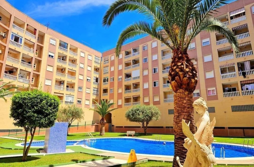 Reventa - Apartamento - Torrevieja - Parque las naciones