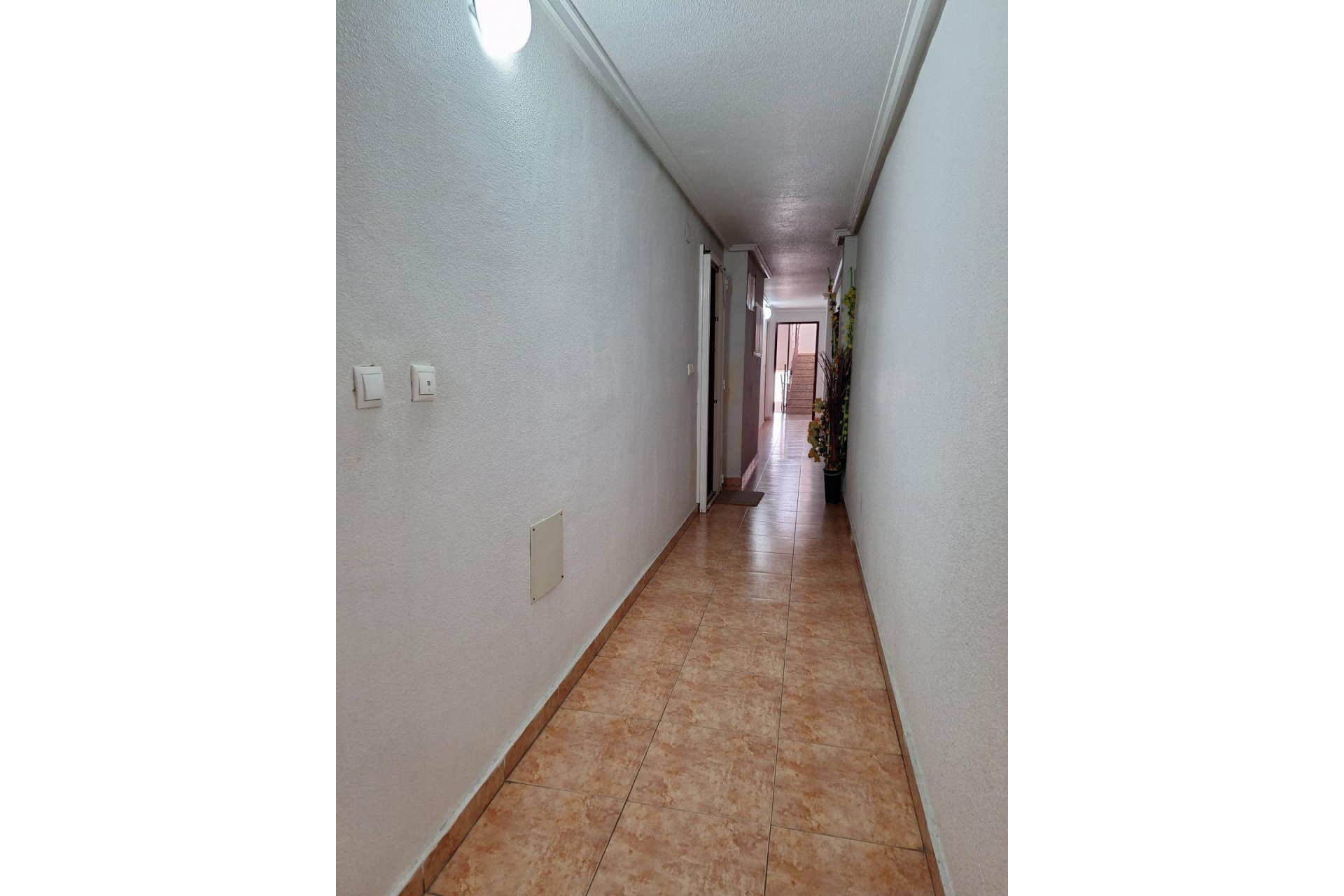 Reventa - Apartamento - Torrevieja - Parque las naciones