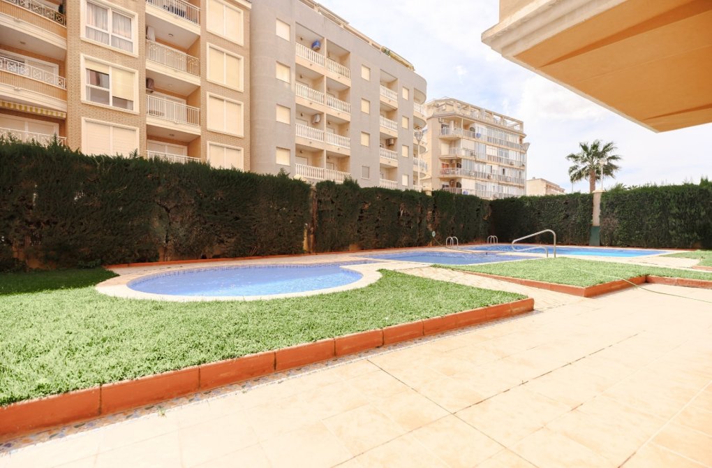 Reventa - Apartamento - Torrevieja - Playa de los Locos