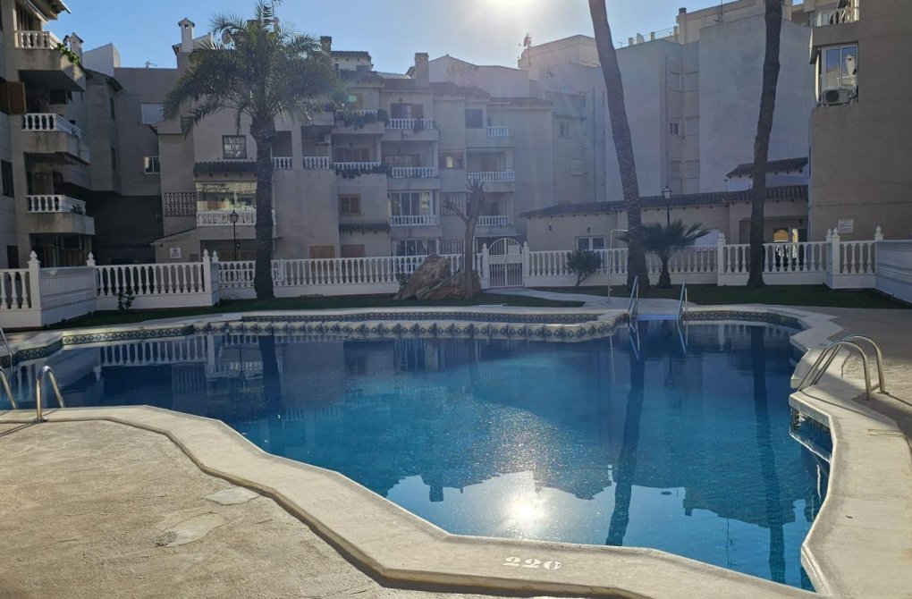 Reventa - Apartamento - Torrevieja - Playa de los locos