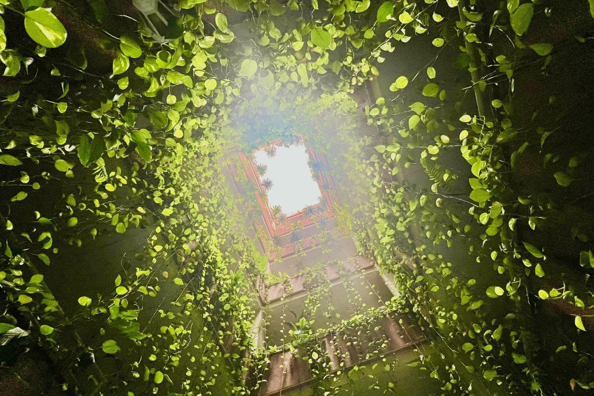 Reventa - Apartamento - Torrevieja - Playa del cura