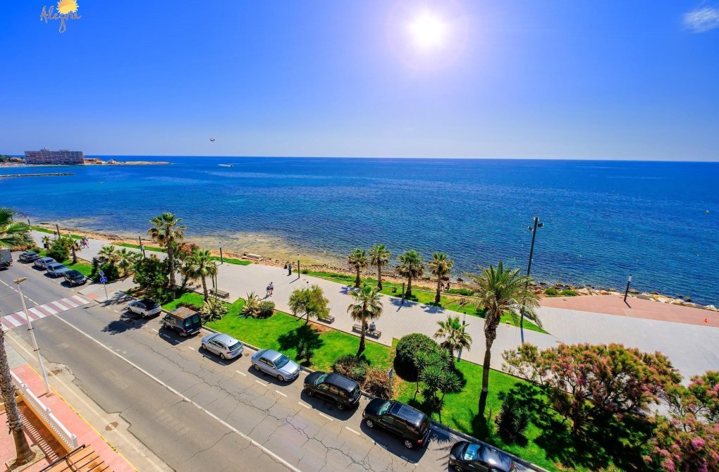 Reventa - Apartamento - Torrevieja - Playa del cura