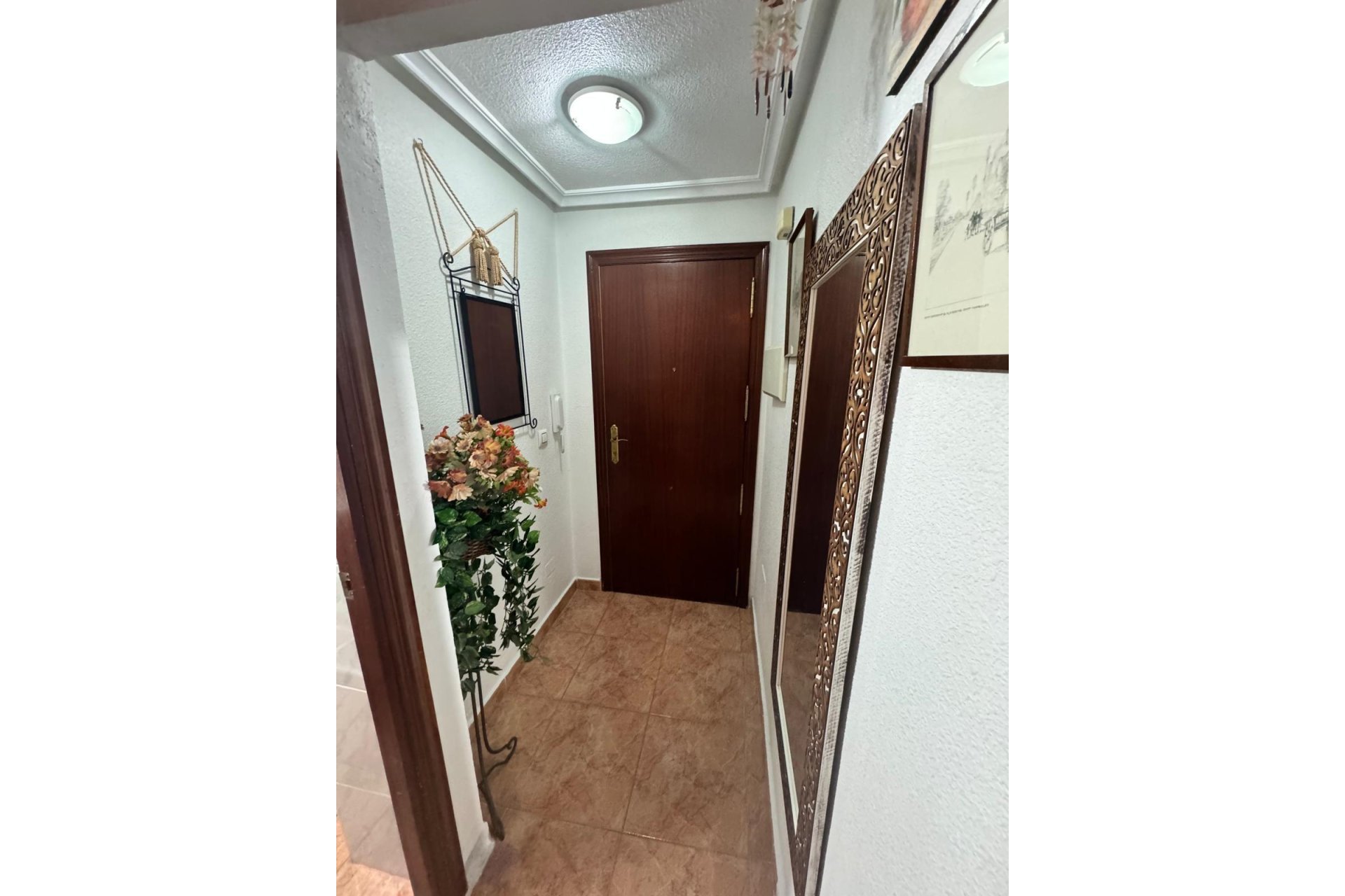 Reventa - Apartamento - Torrevieja - Playa del cura