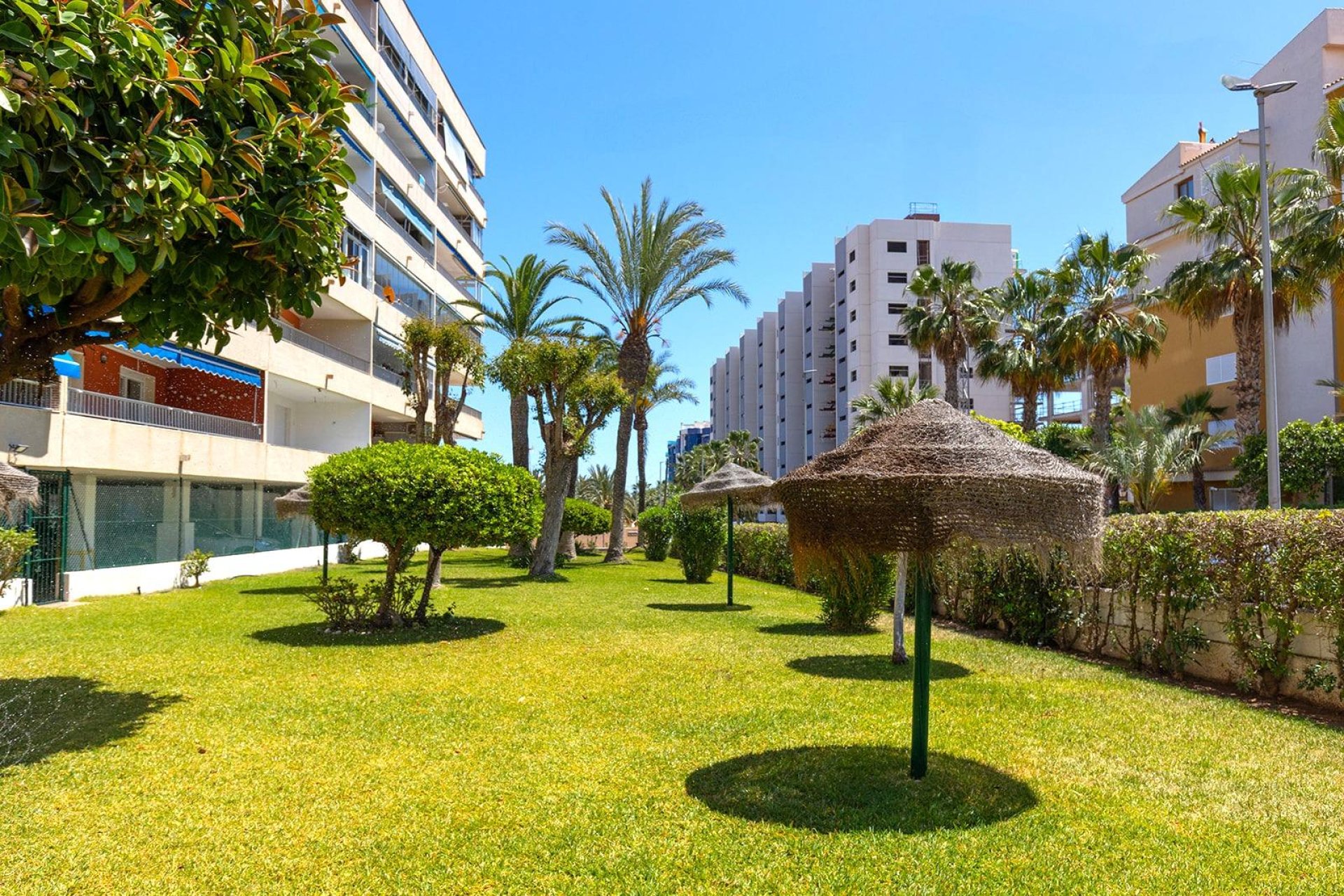 Reventa - Apartamento - Torrevieja - Punta prima