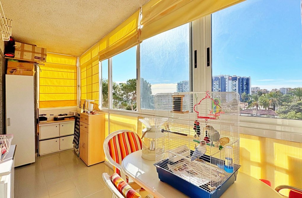 Reventa - Apartamento - Torrevieja - Rocio del Mar