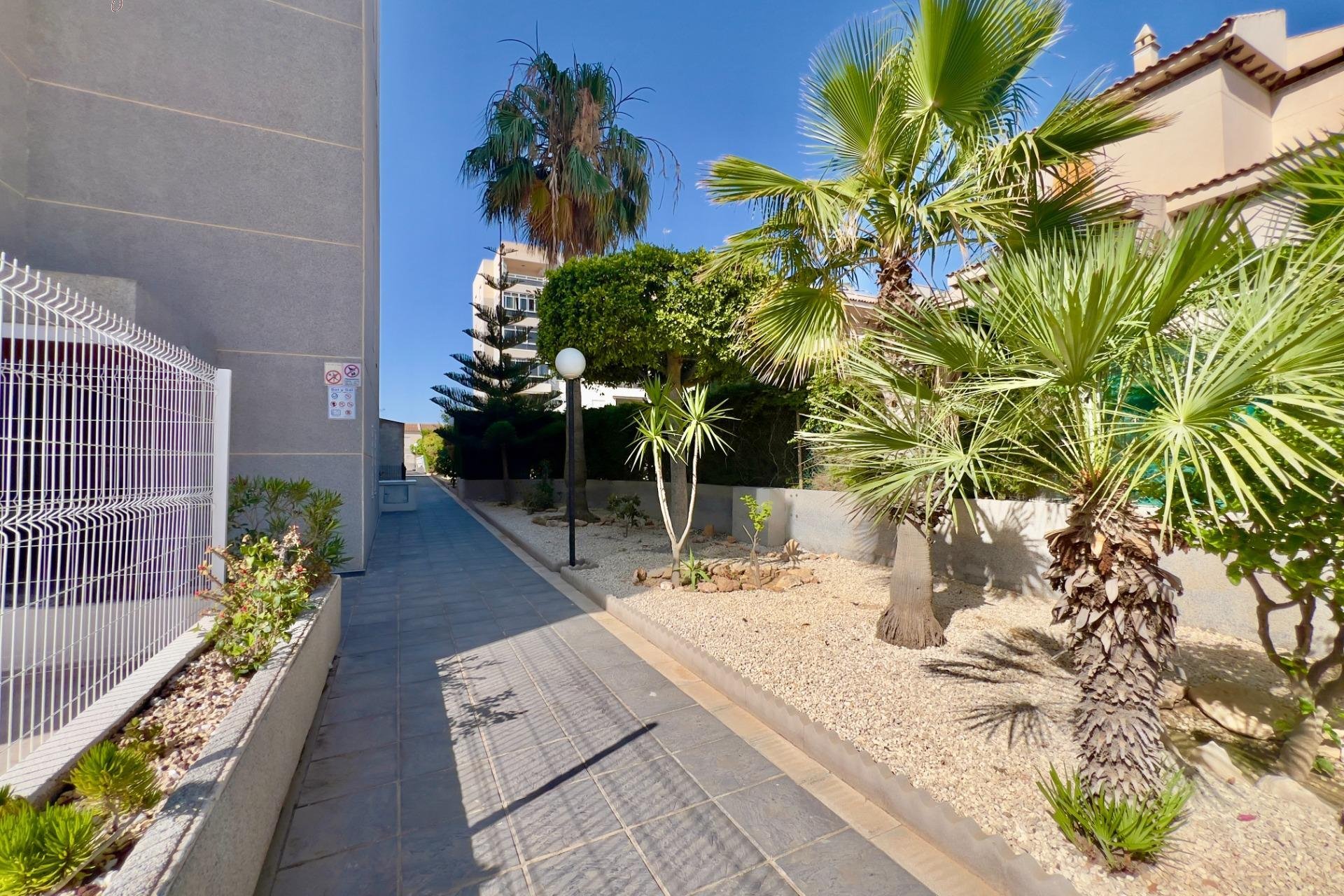 Reventa - Apartamento - Torrevieja - Torreblanca