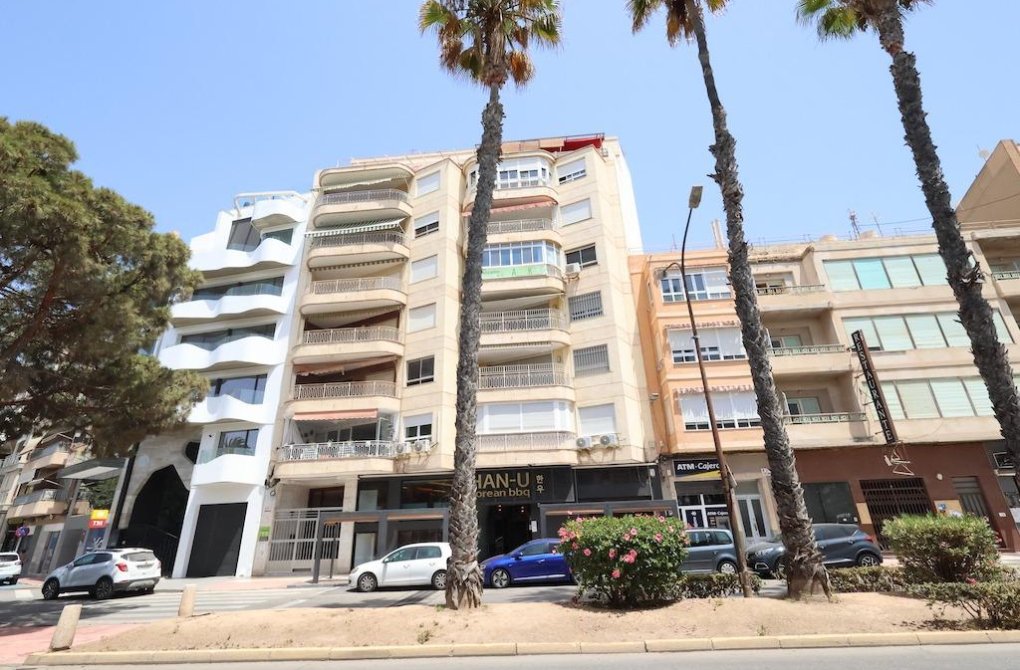 Reventa - Apartamento - Torrevieja - torrevieja