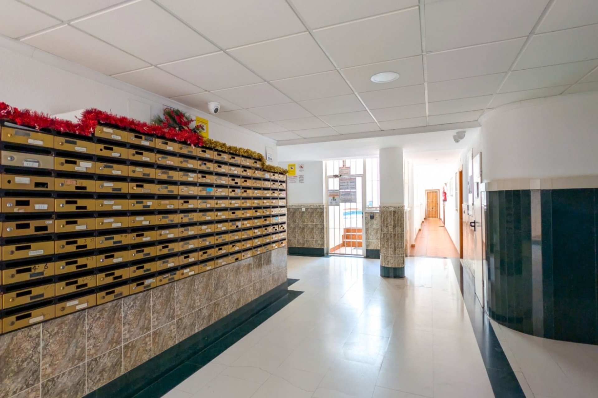 Reventa - Apartamento - Torrevieja