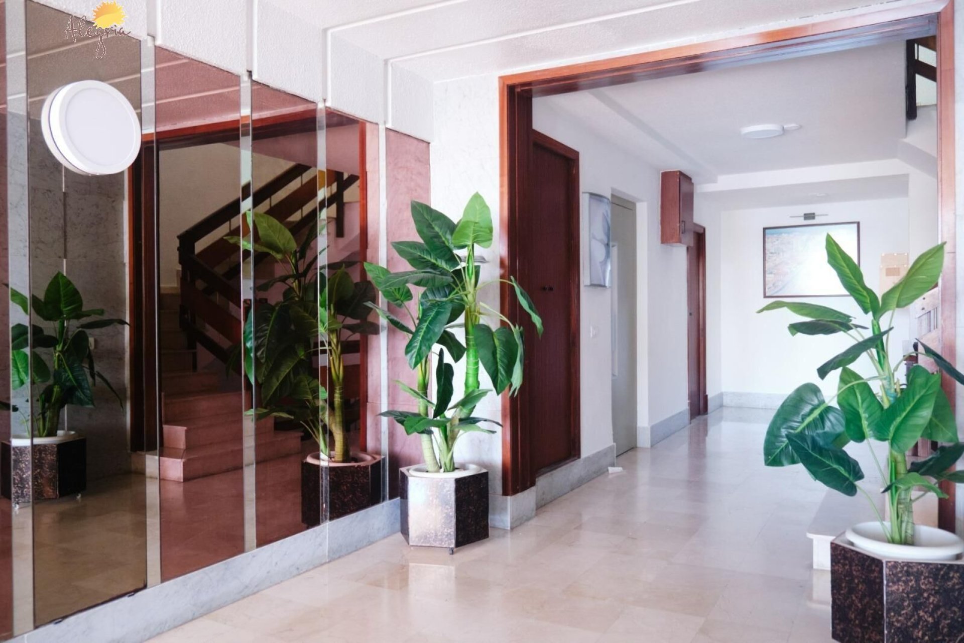 Reventa - Ático - Torrevieja - Paseo maritimo