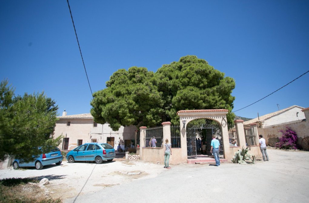 Reventa - Bodega - Pinoso - CENTRO