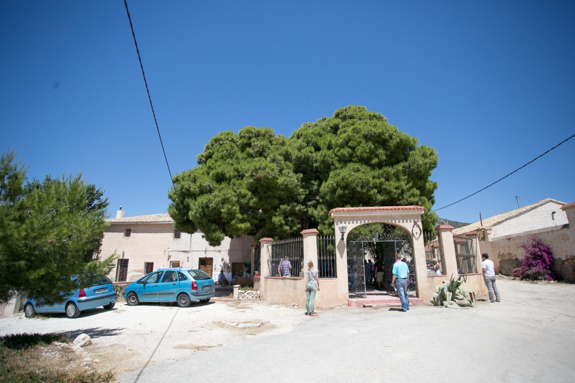 Reventa - Bodega - Pinoso - CENTRO