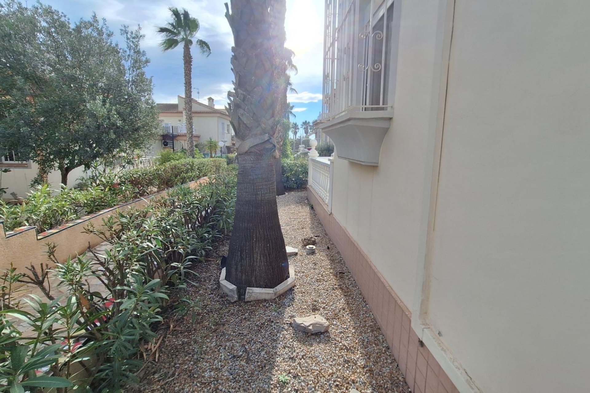 Reventa - Bungalow - Torrevieja - Los Balcones - Los Altos del Edén