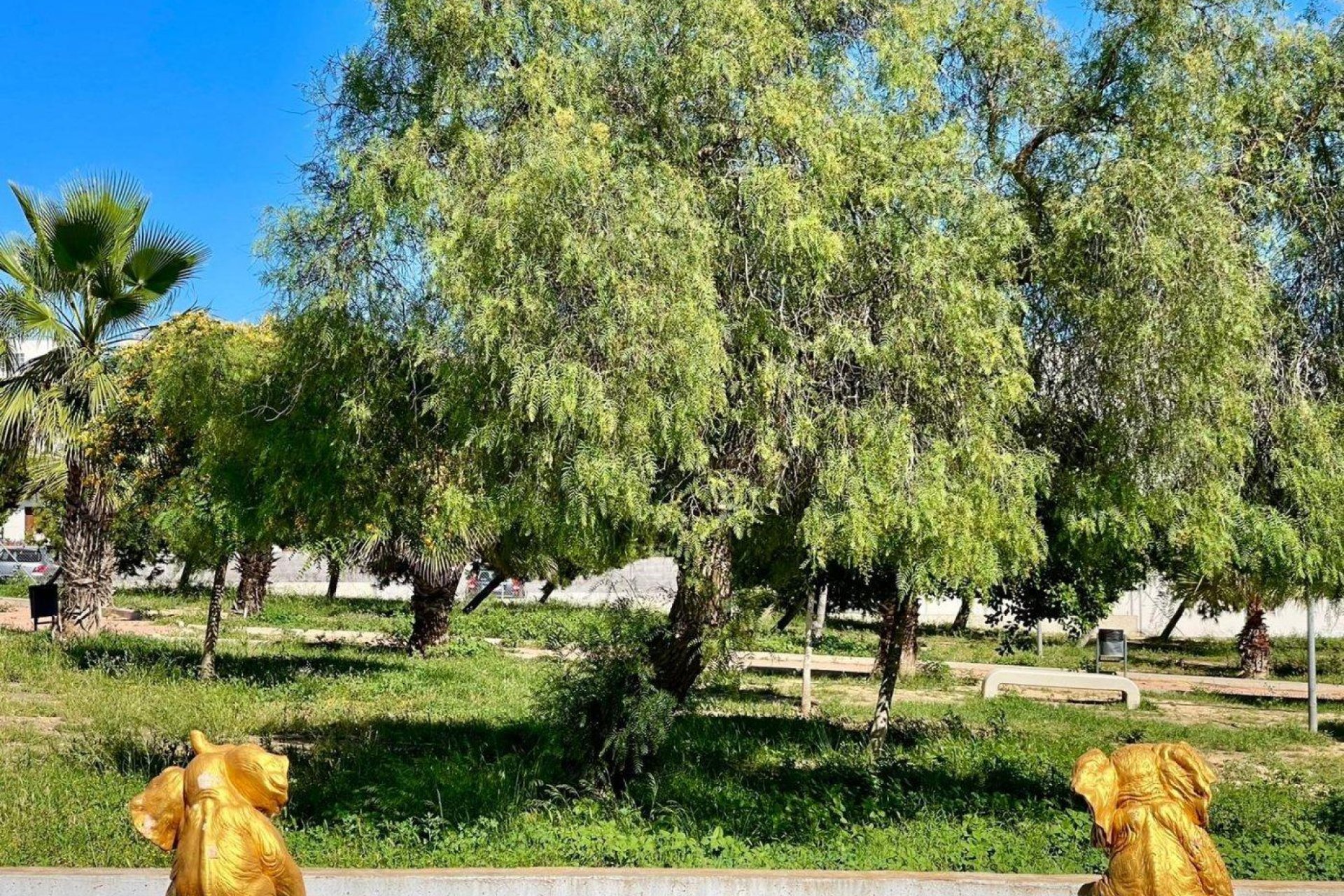 Reventa - Casa adosada - Torrevieja - Aguas Nuevas