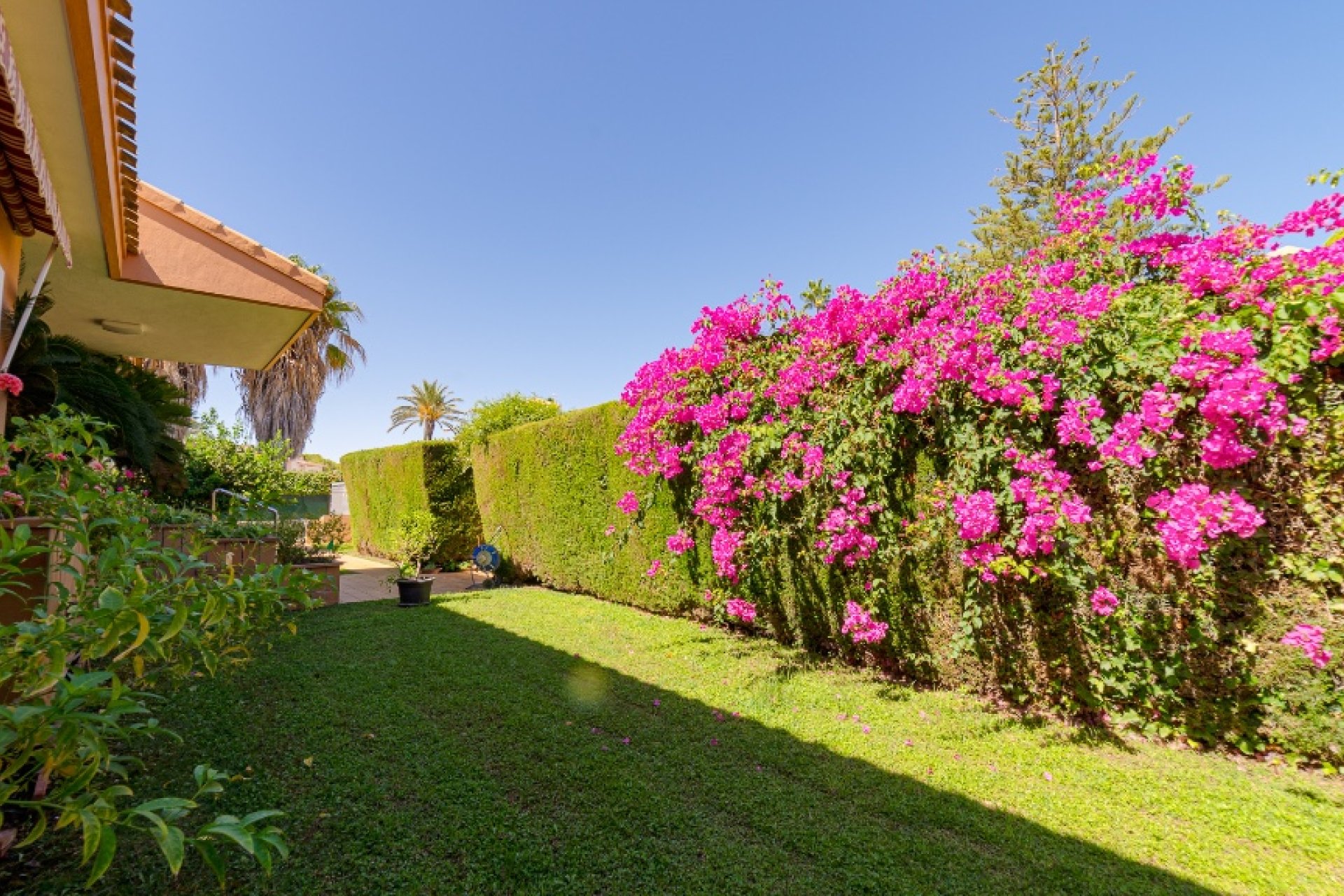 Reventa - Chalet - Campoamor