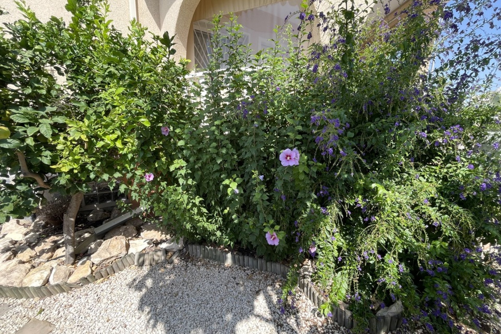 Reventa - Chalet - Ciudad Quesada