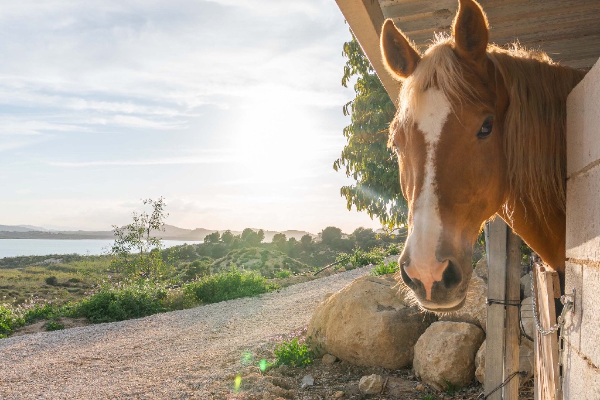 Reventa - Chalet - Costa Blanca - Orihuela Costa