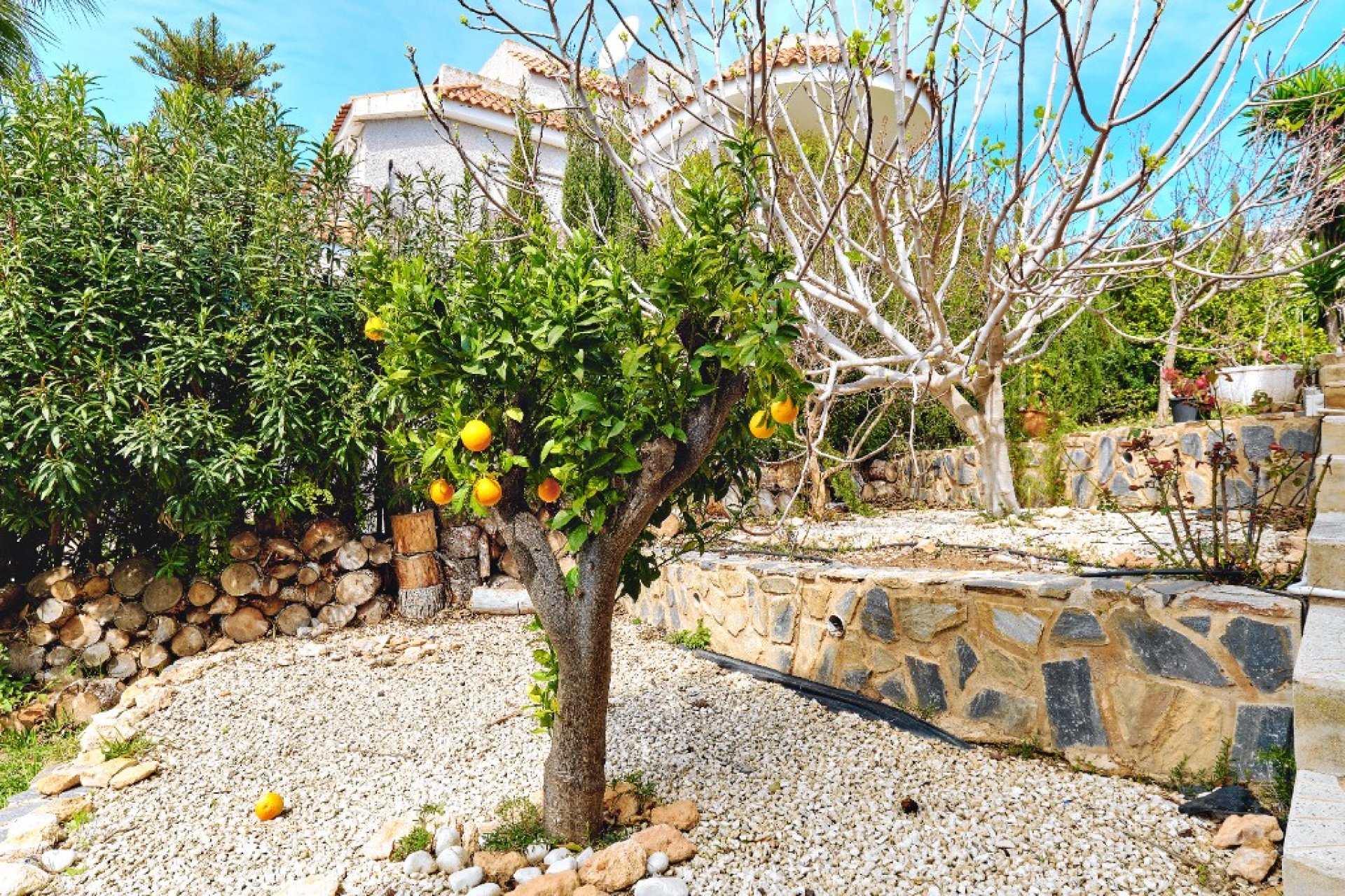 Reventa - Chalet - Dehesa de campoamor - DEHESA DE CAMPOAMOR