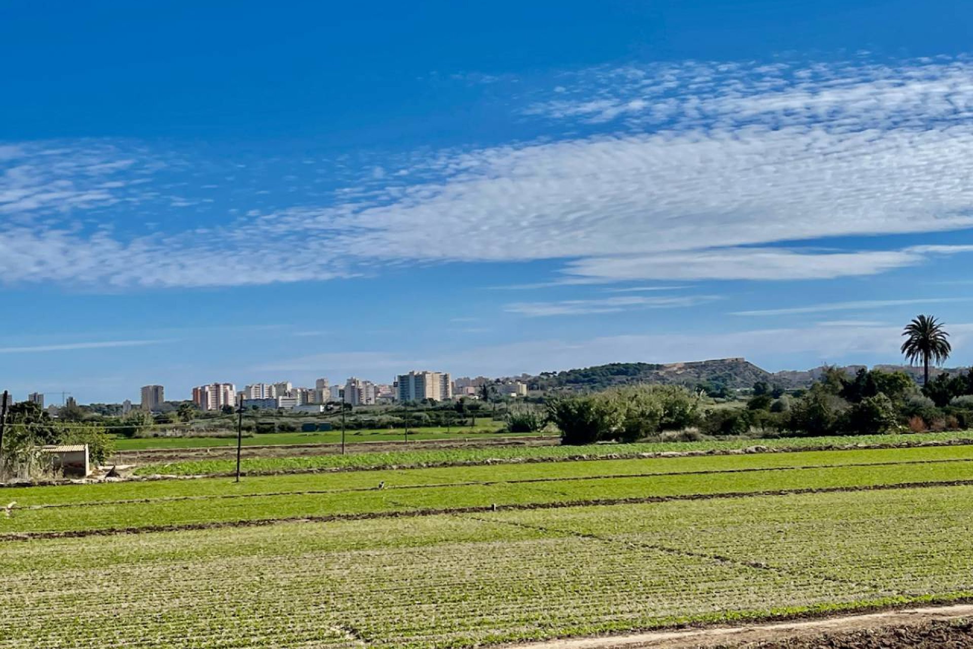 Reventa - Chalet - Guardamar del Segura