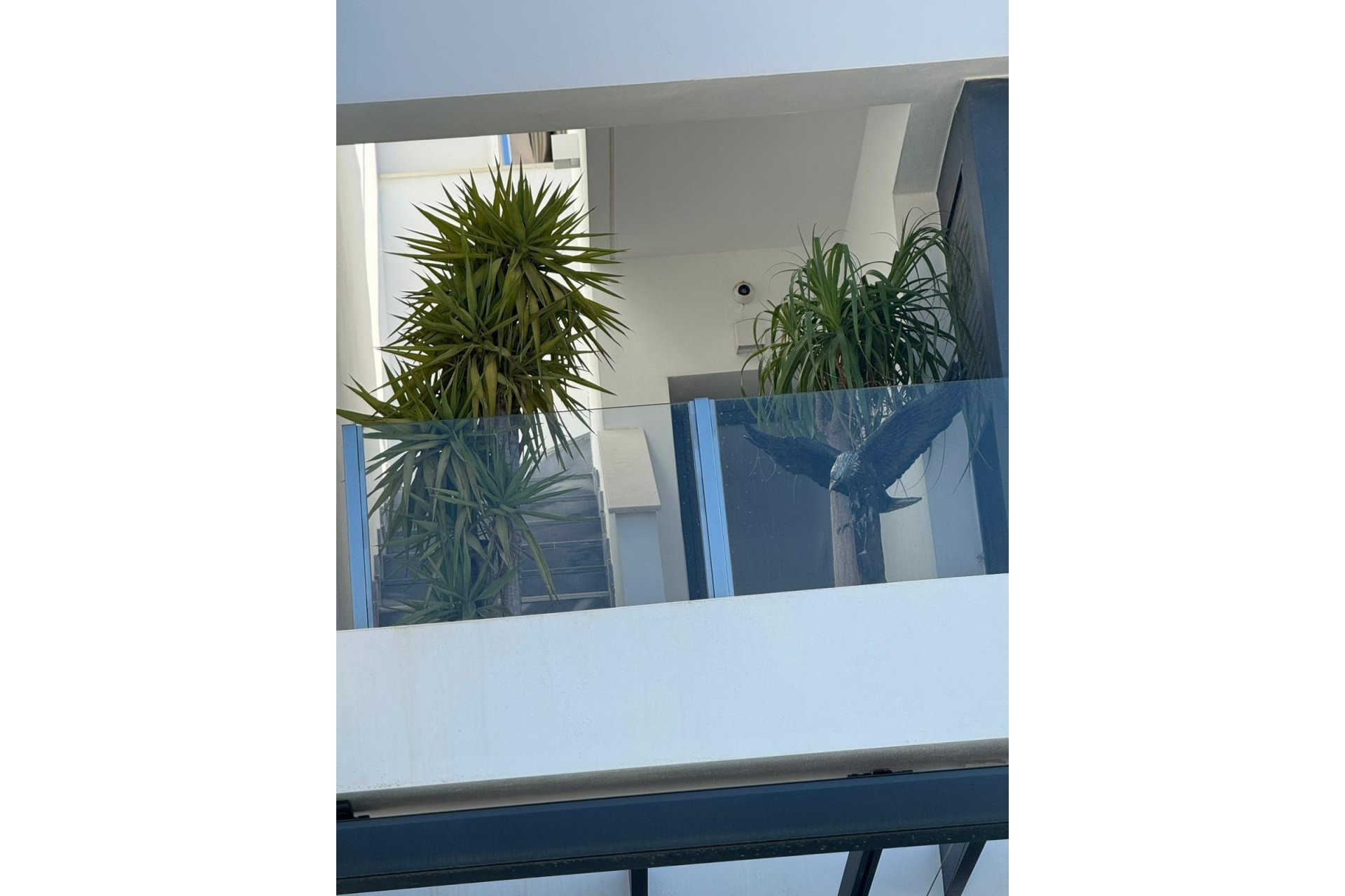 Reventa - Chalet - Orihuela Costa - PAU 26