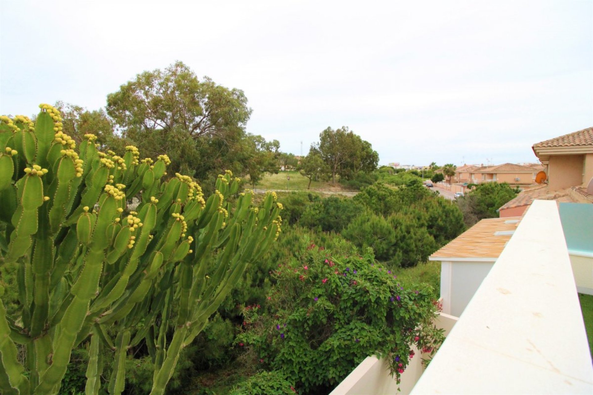 Reventa - Chalet - Torrevieja - Punta prima