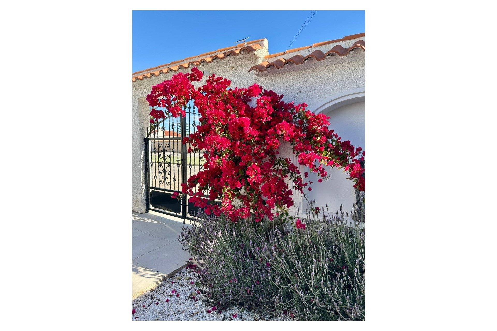 Reventa - Chalet - Torrevieja - San luis