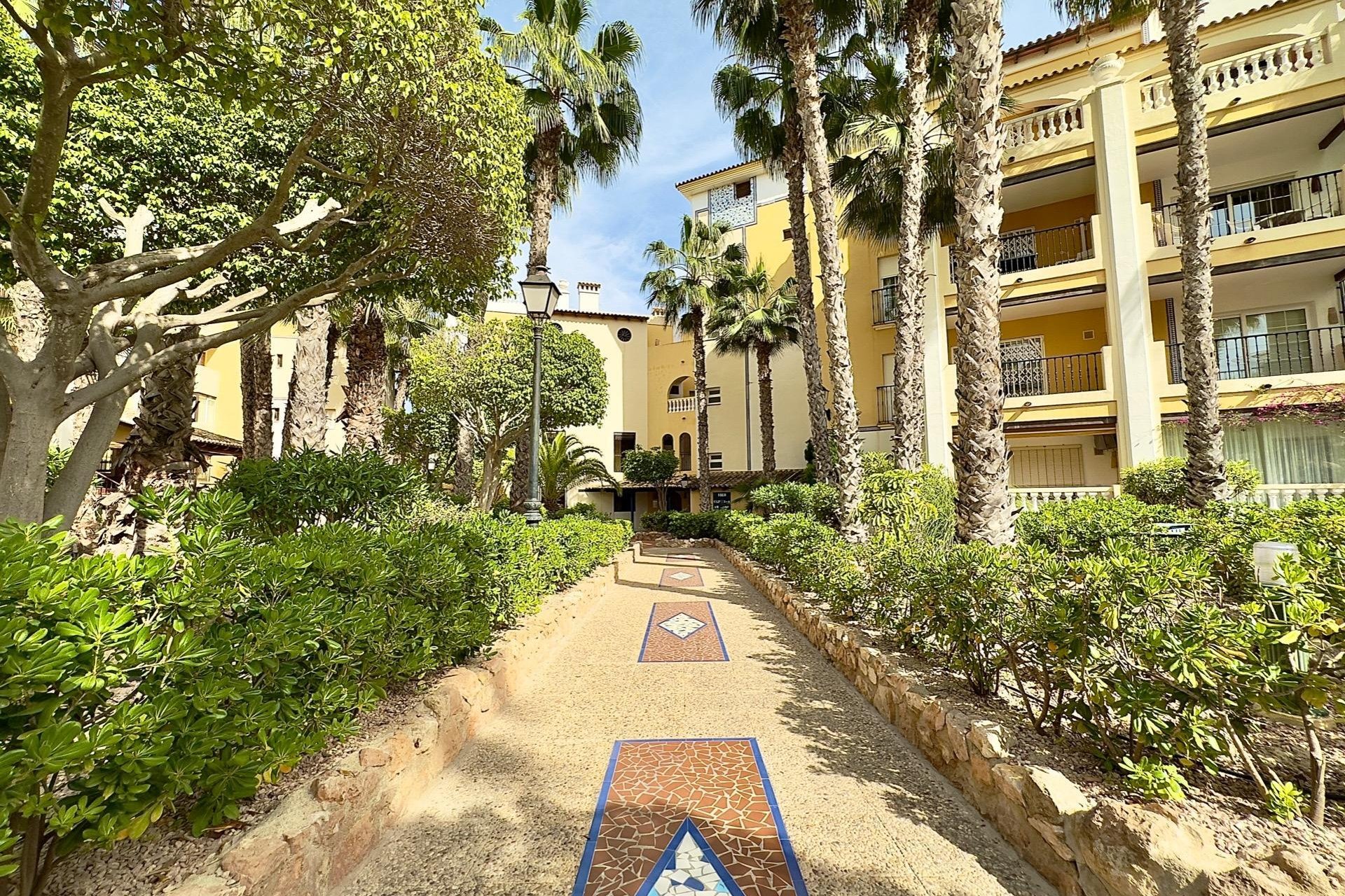 Reventa - Departamento - Torrevieja - Aldea del mar