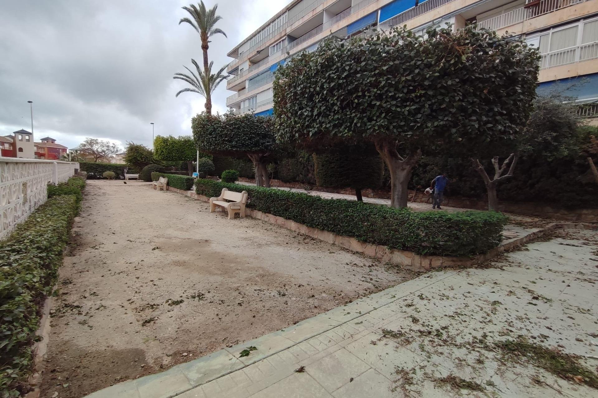 Reventa - Departamento - Torrevieja - Centro