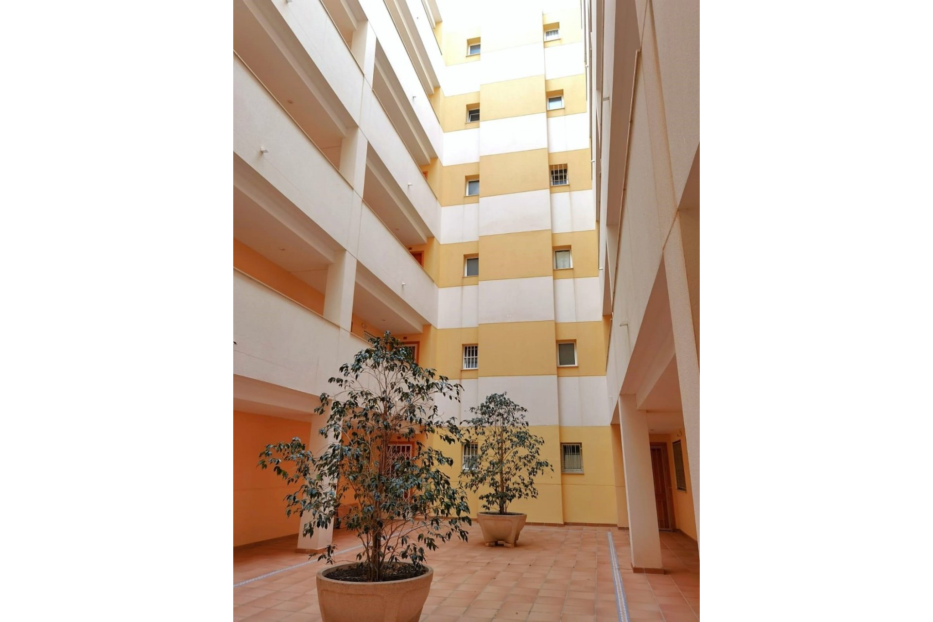 Reventa - Departamento - Torrevieja - Torreblanca