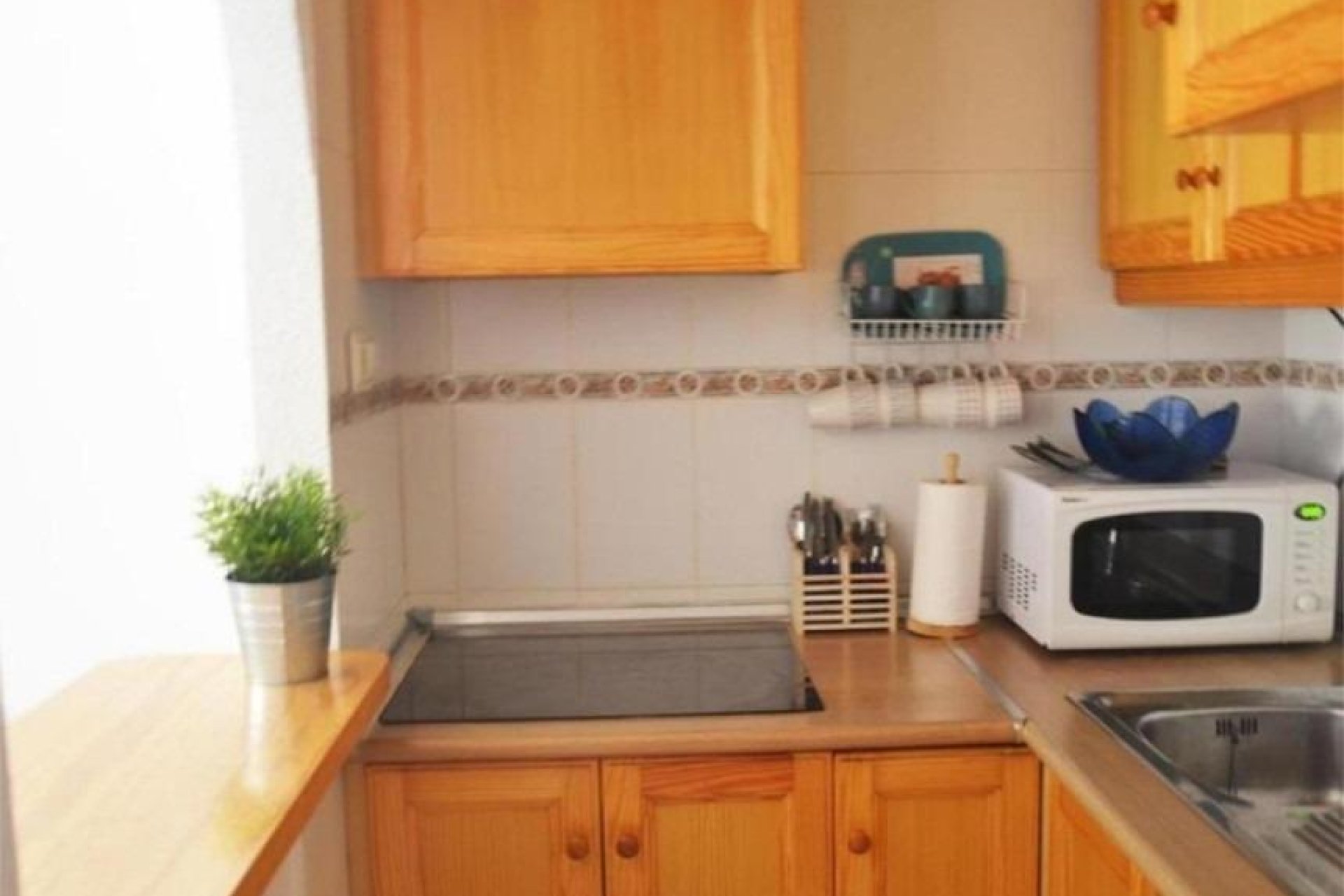 Reventa - Estudio - Torrevieja - Estacion de autobuses