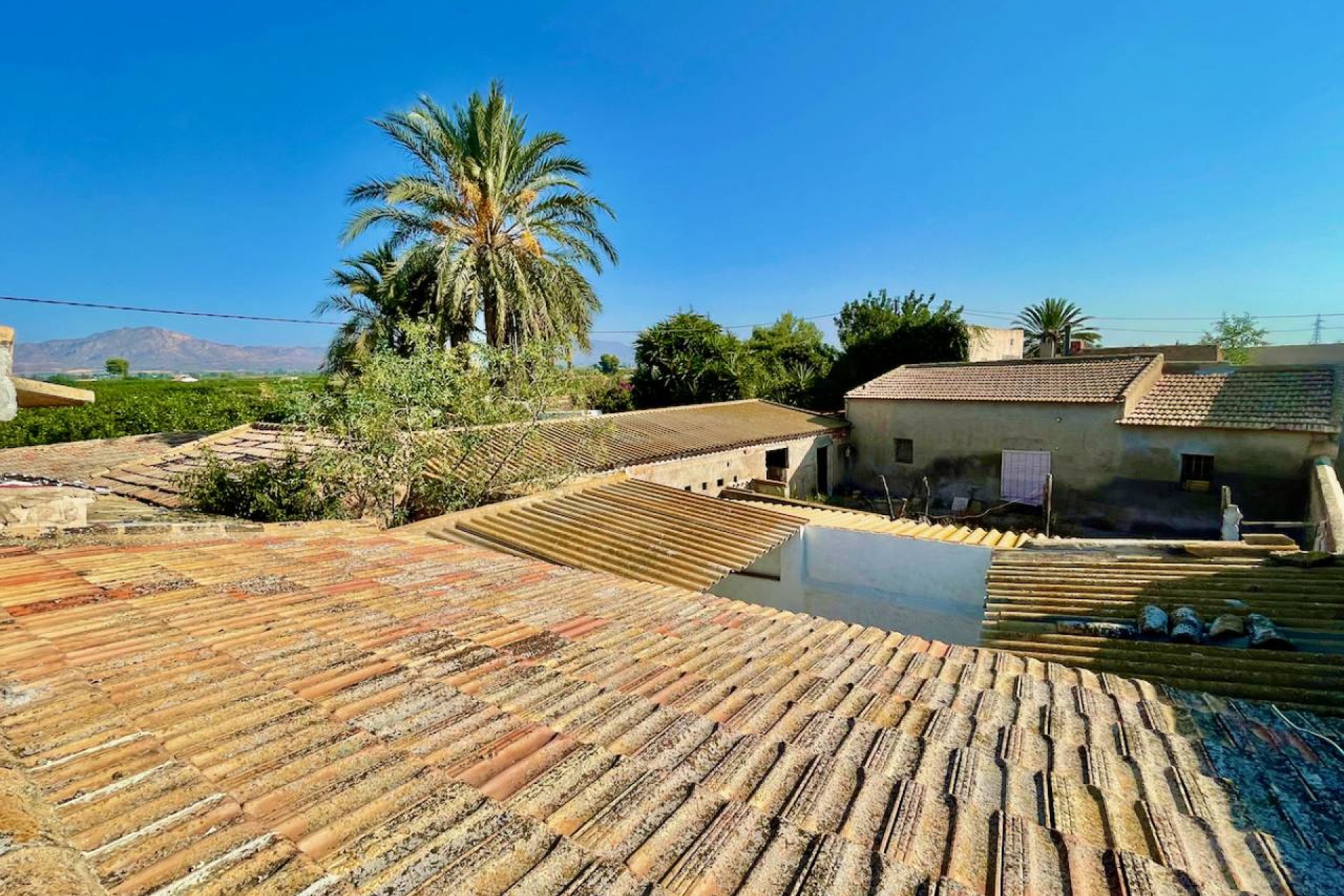 Reventa - Finca / Propiedad de Campo - La Murada