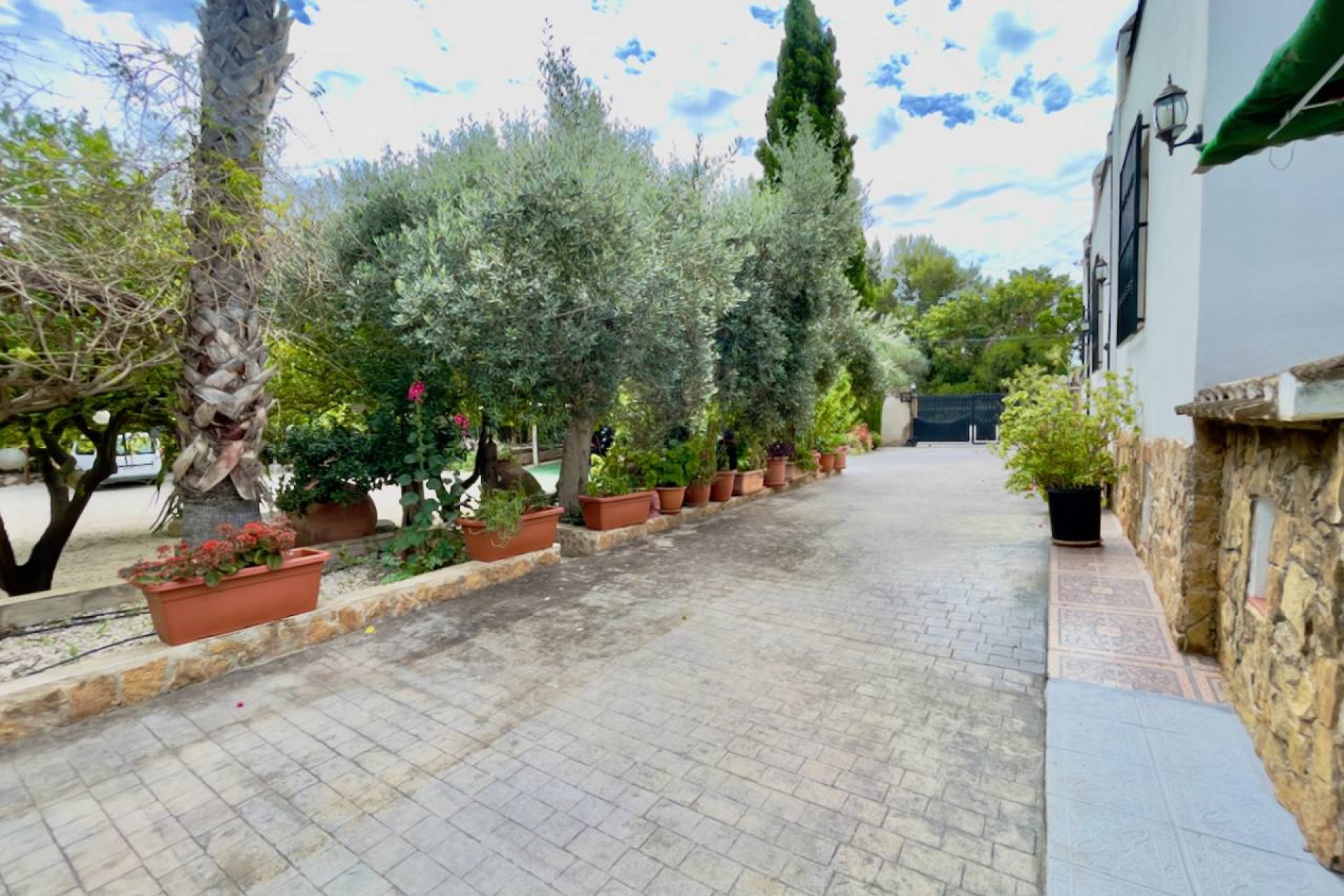 Reventa - Finca / Propiedad de Campo - Orihuela