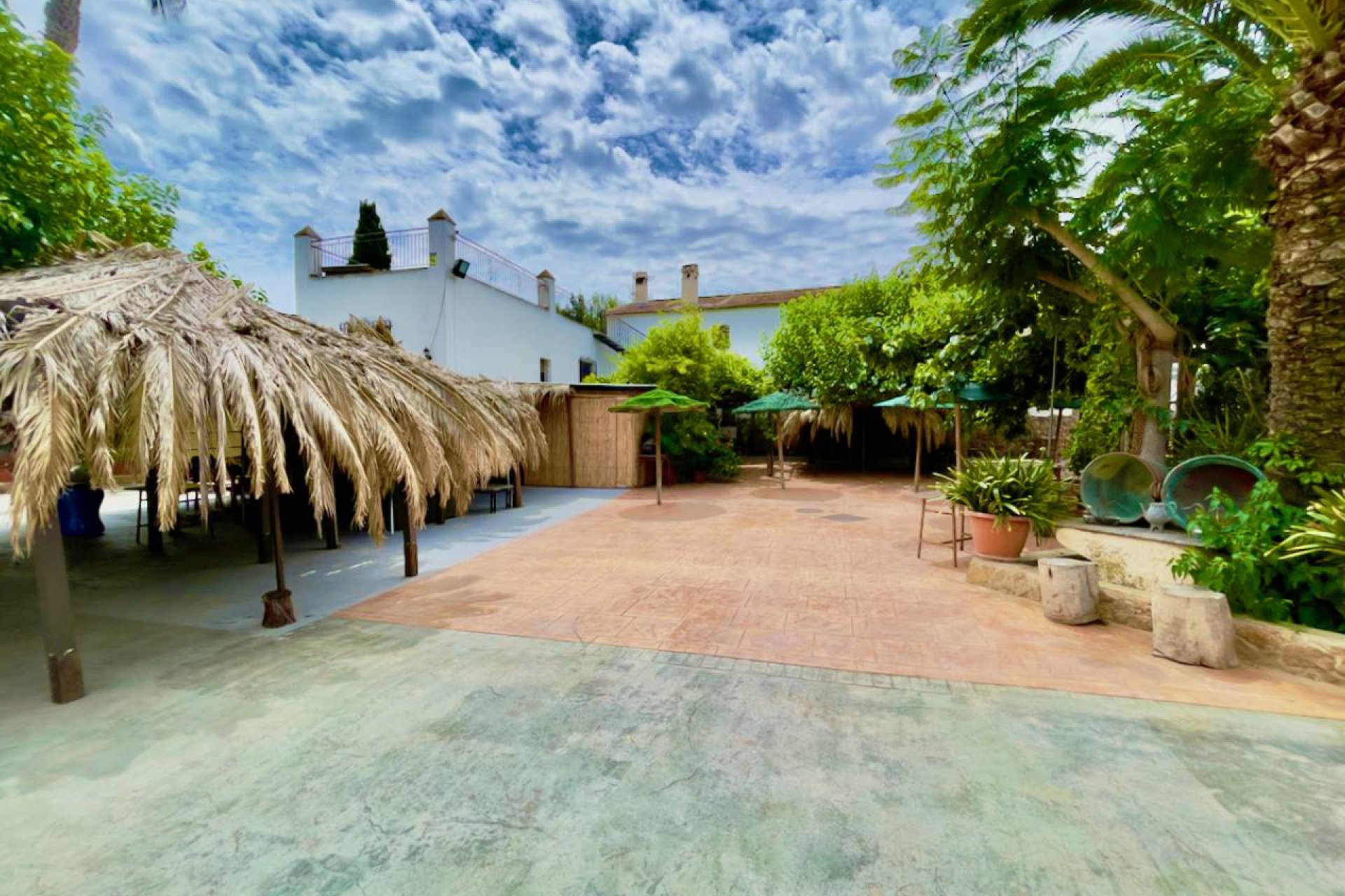 Reventa - Finca / Propiedad de Campo - Orihuela