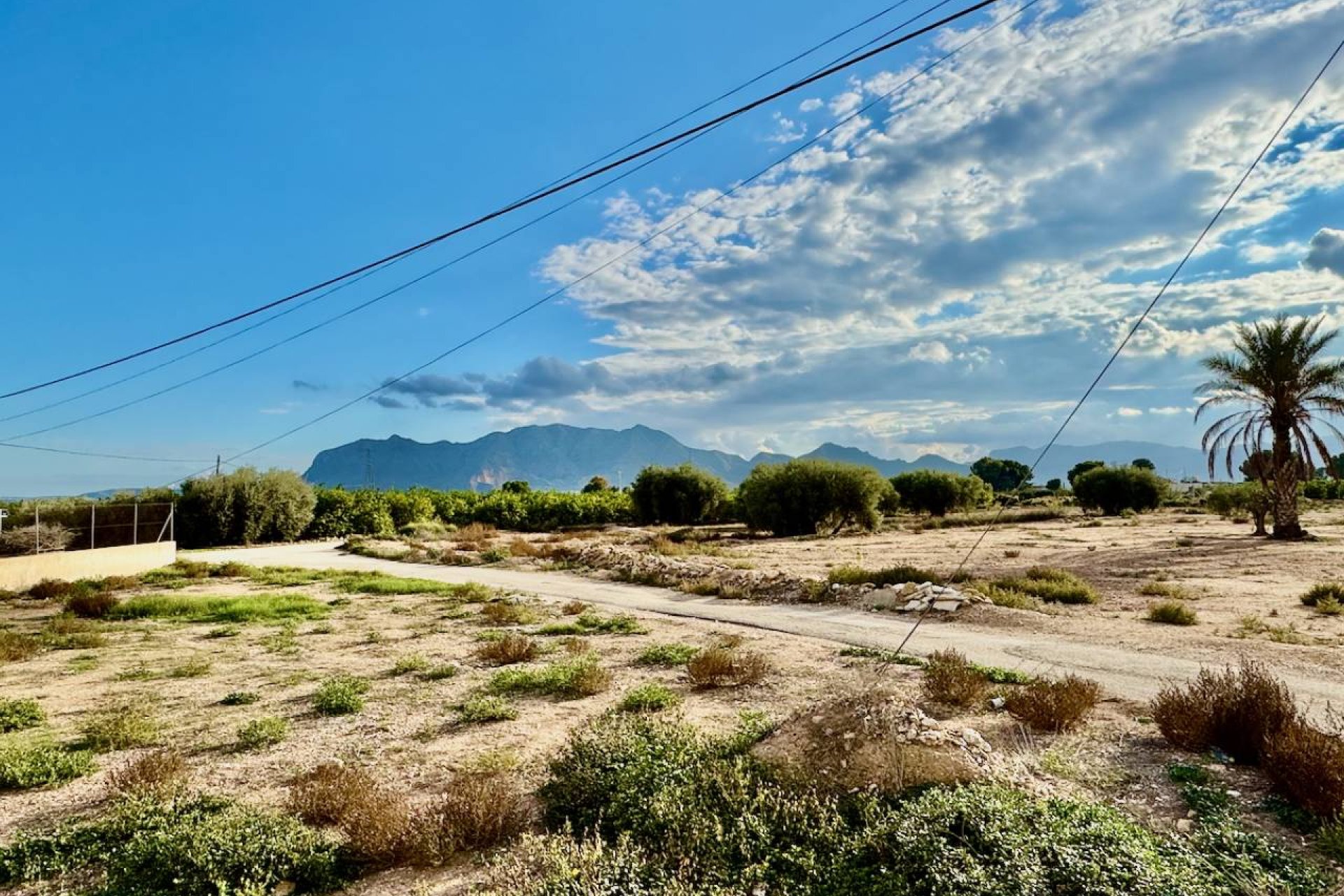 Reventa - Finca / Propiedad en el campo - La Murada