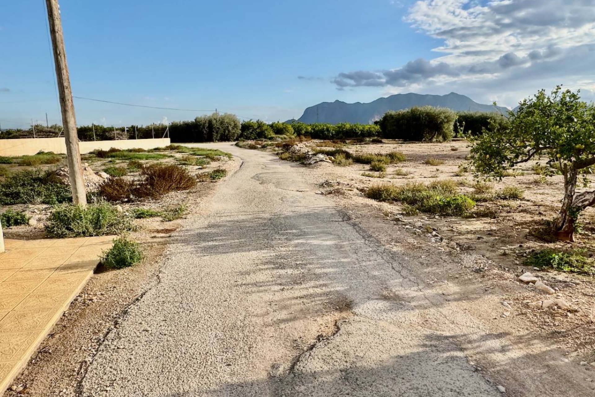 Reventa - Finca / Propiedad en el campo - La Murada