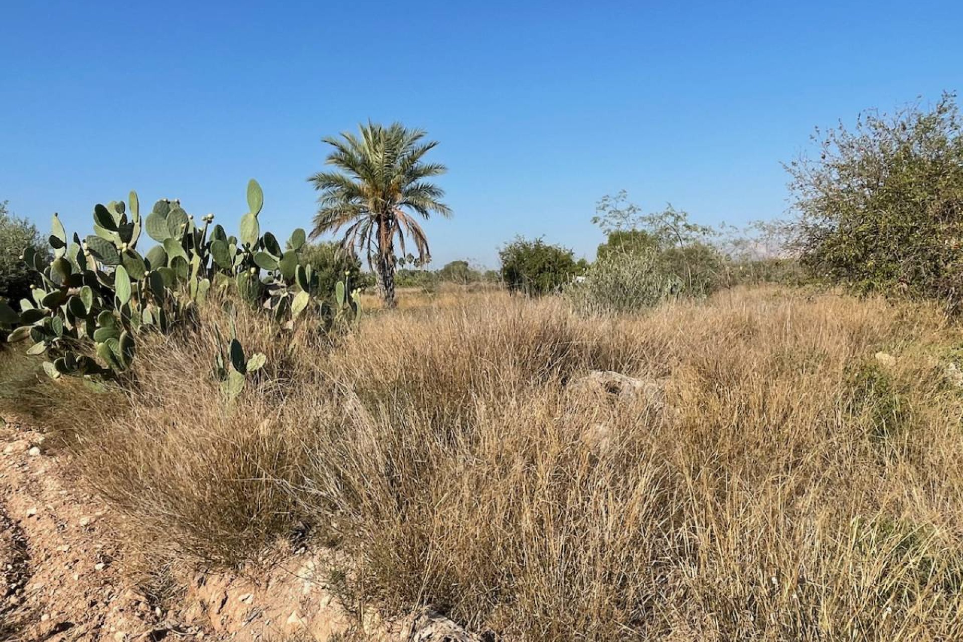 Reventa - Finca / Propiedad en el campo - La Murada