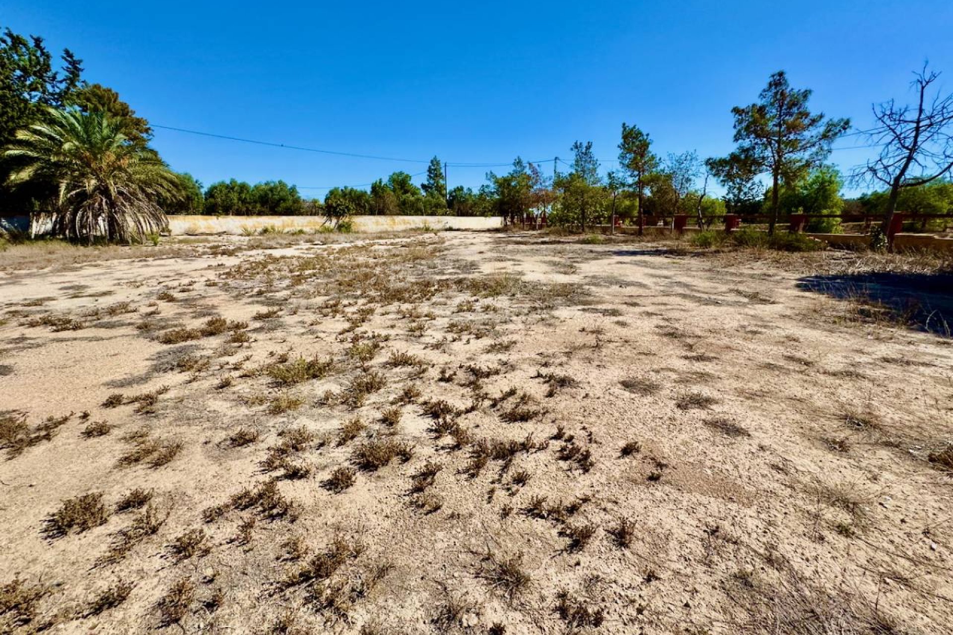 Reventa - Finca / Propiedad en el campo - Los Montesinos