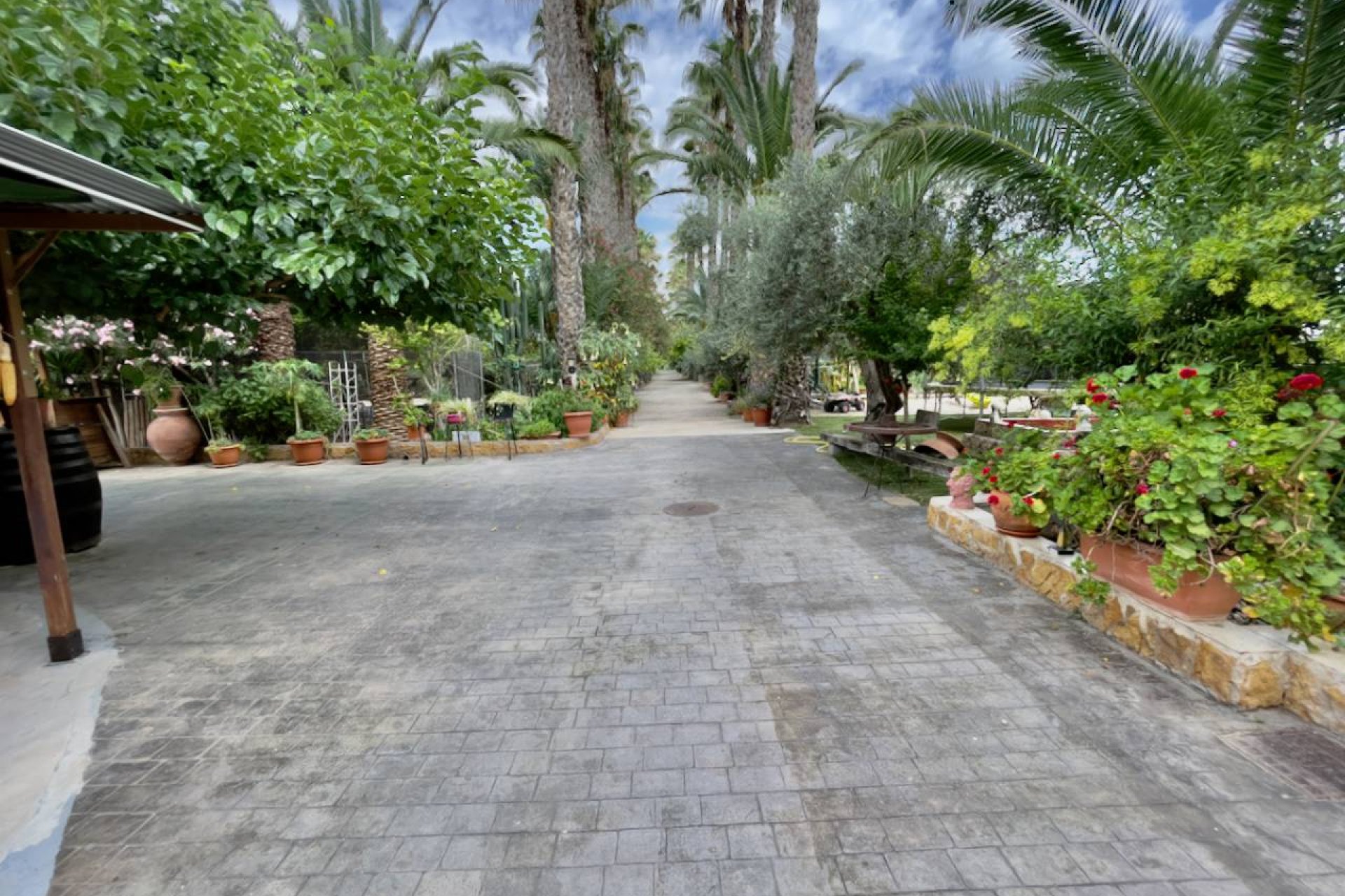 Reventa - Finca / Propiedad en el campo - Orihuela Costa - Orihuela