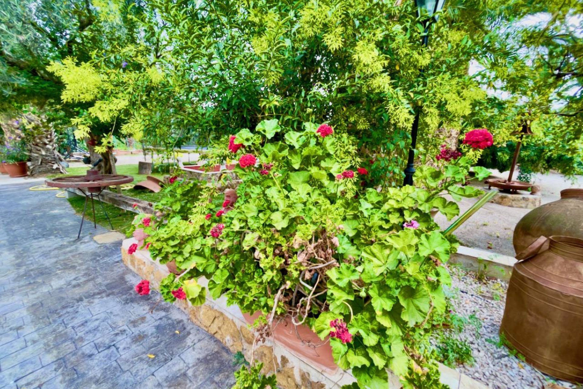 Reventa - Finca / Propiedad en el campo - Orihuela Costa - Orihuela