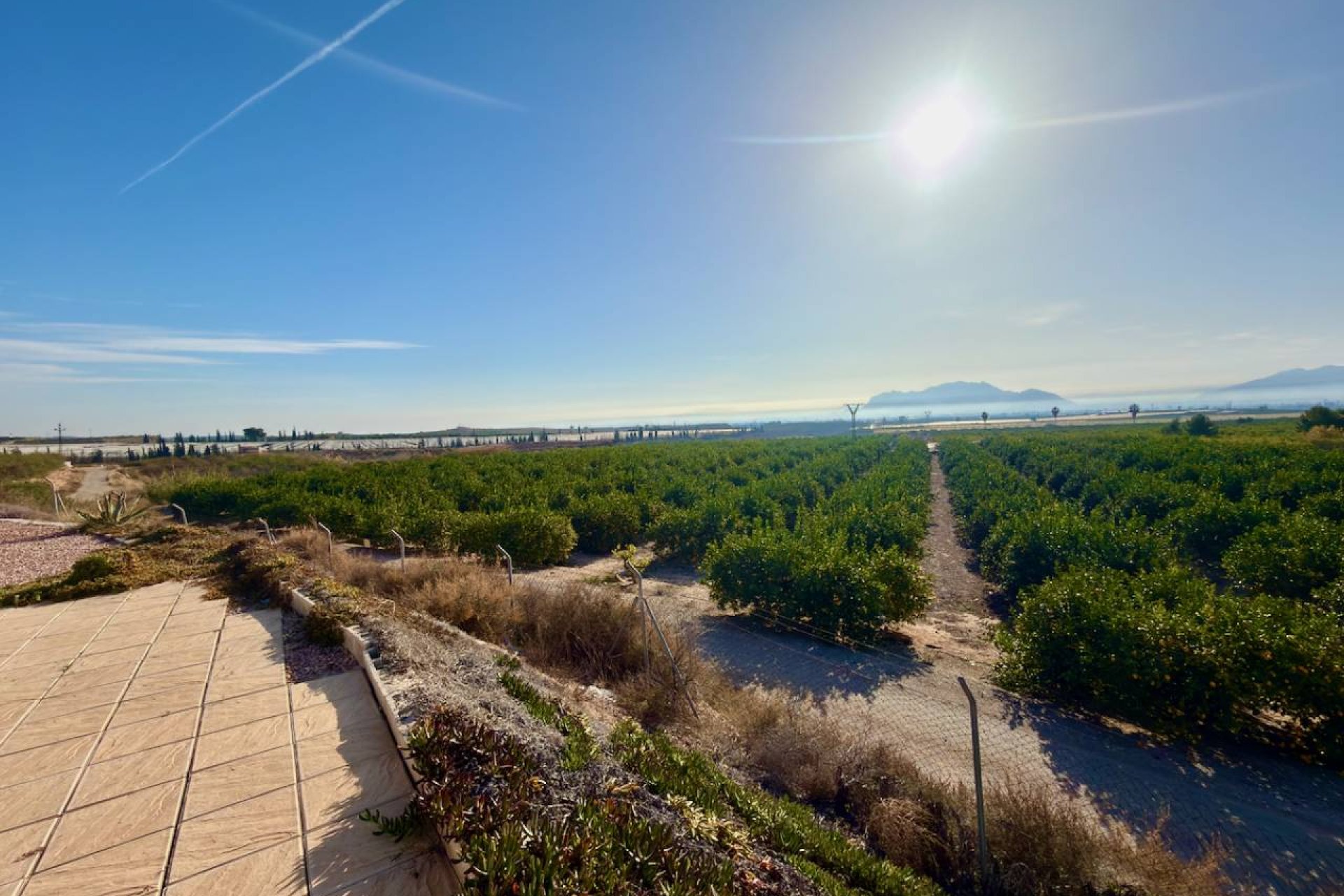 Reventa - Finca / Propiedad en el campo - Orihuela Costa - Orihuela