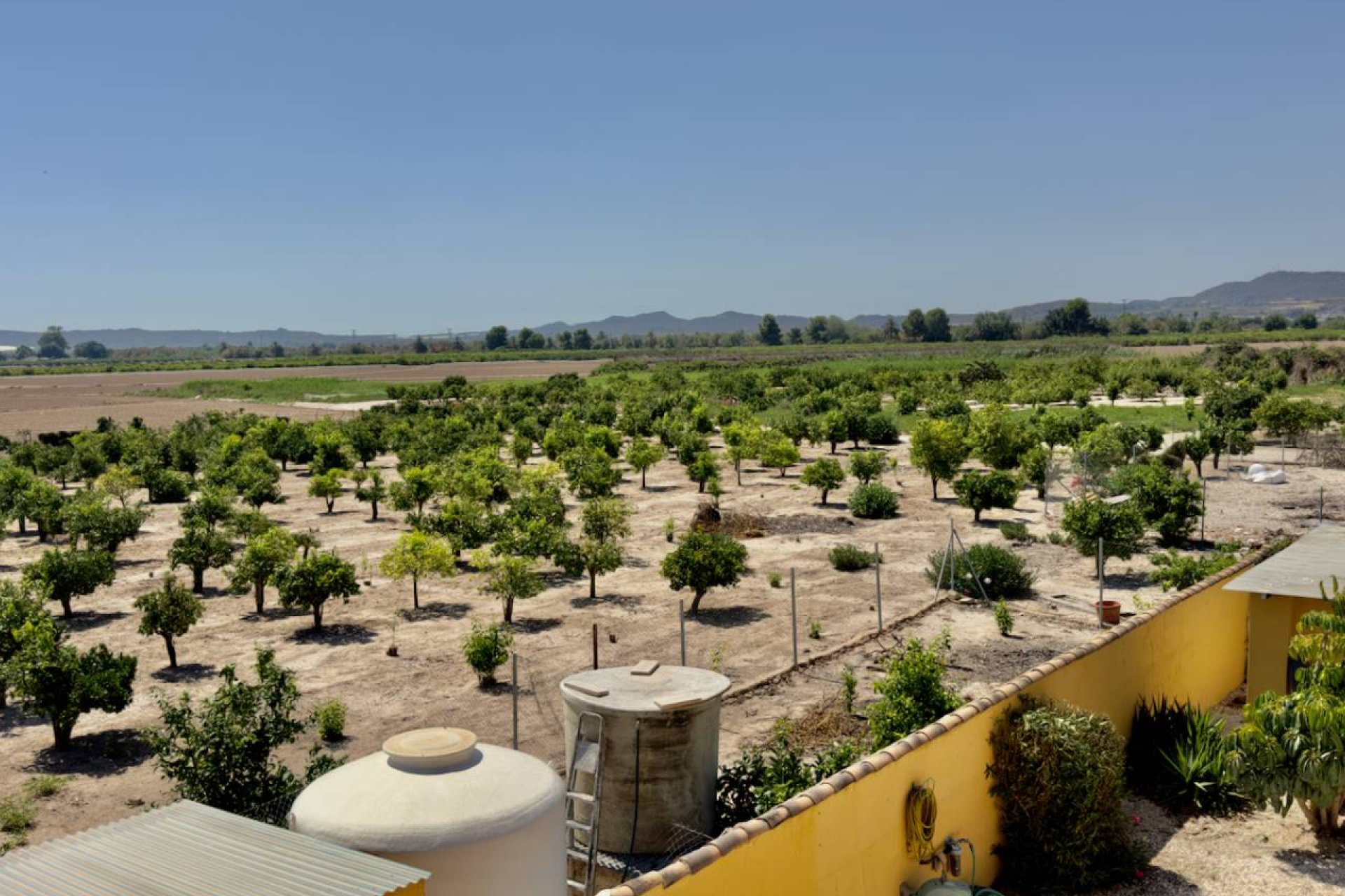 Reventa - Finca / Propiedad en el campo - Orihuela