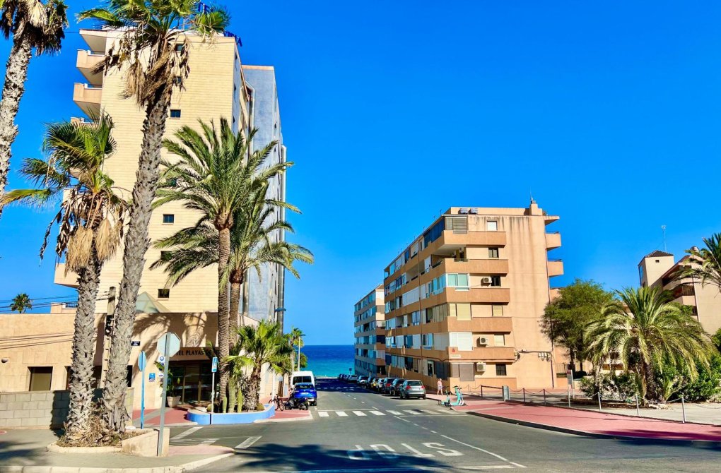 Reventa - Semi - Torrevieja - Cabo cervera