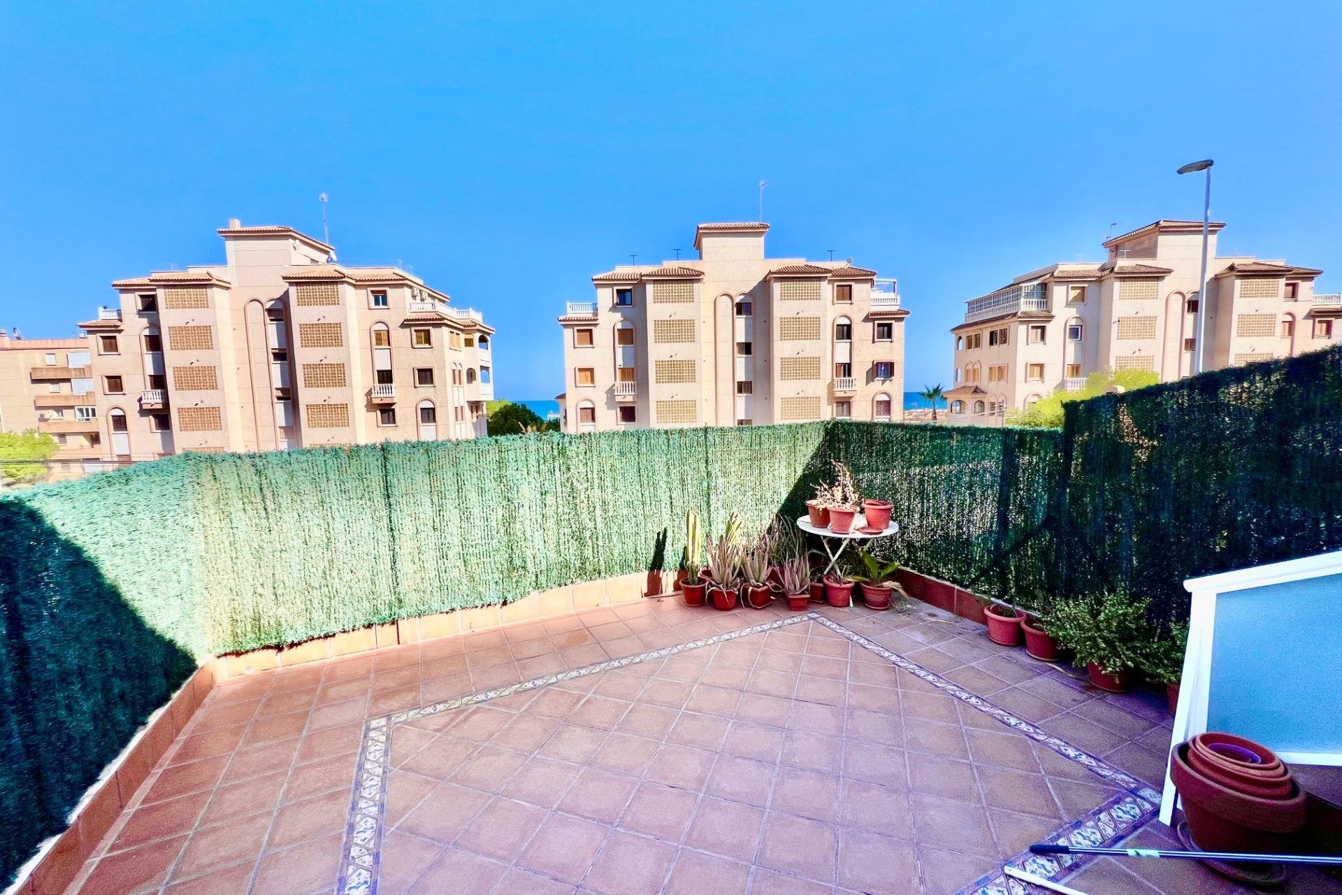 Reventa - Semi - Torrevieja - Cabo cervera