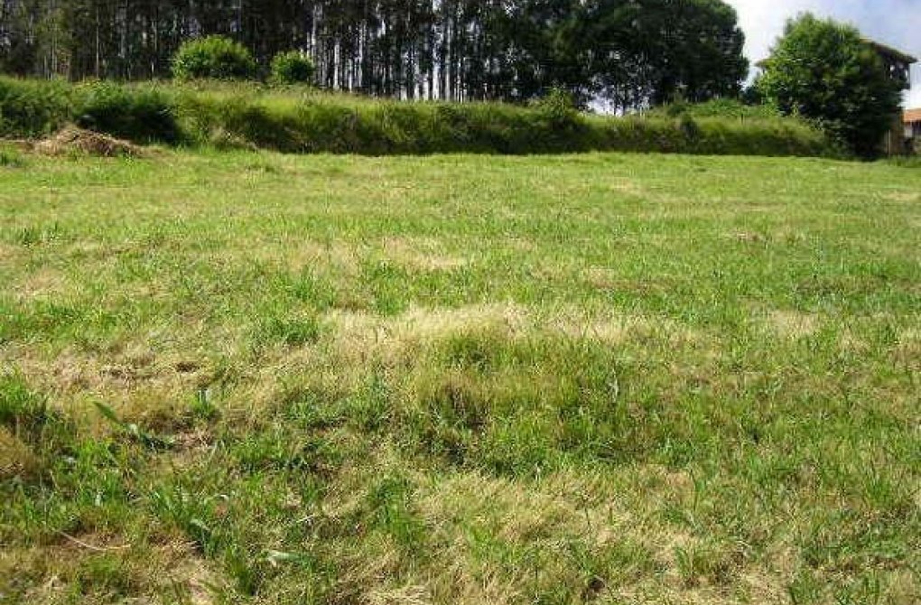 Reventa - Terreno - Cudillero - Costa verde