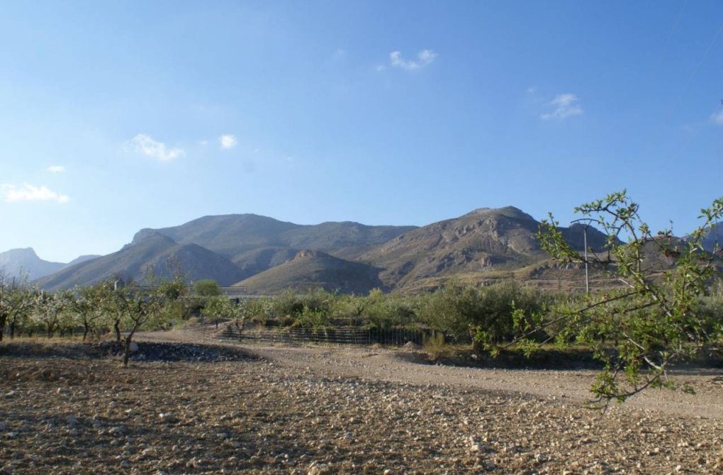 Reventa - Terreno - Murcia