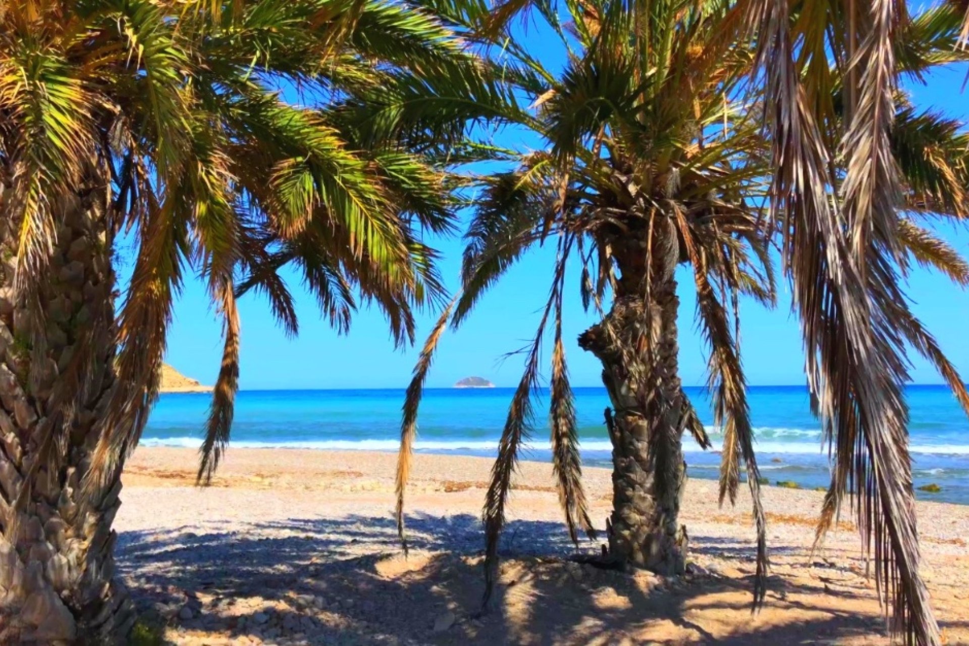 Rynek pierwotny - Apartament - Benidorm - Alicante