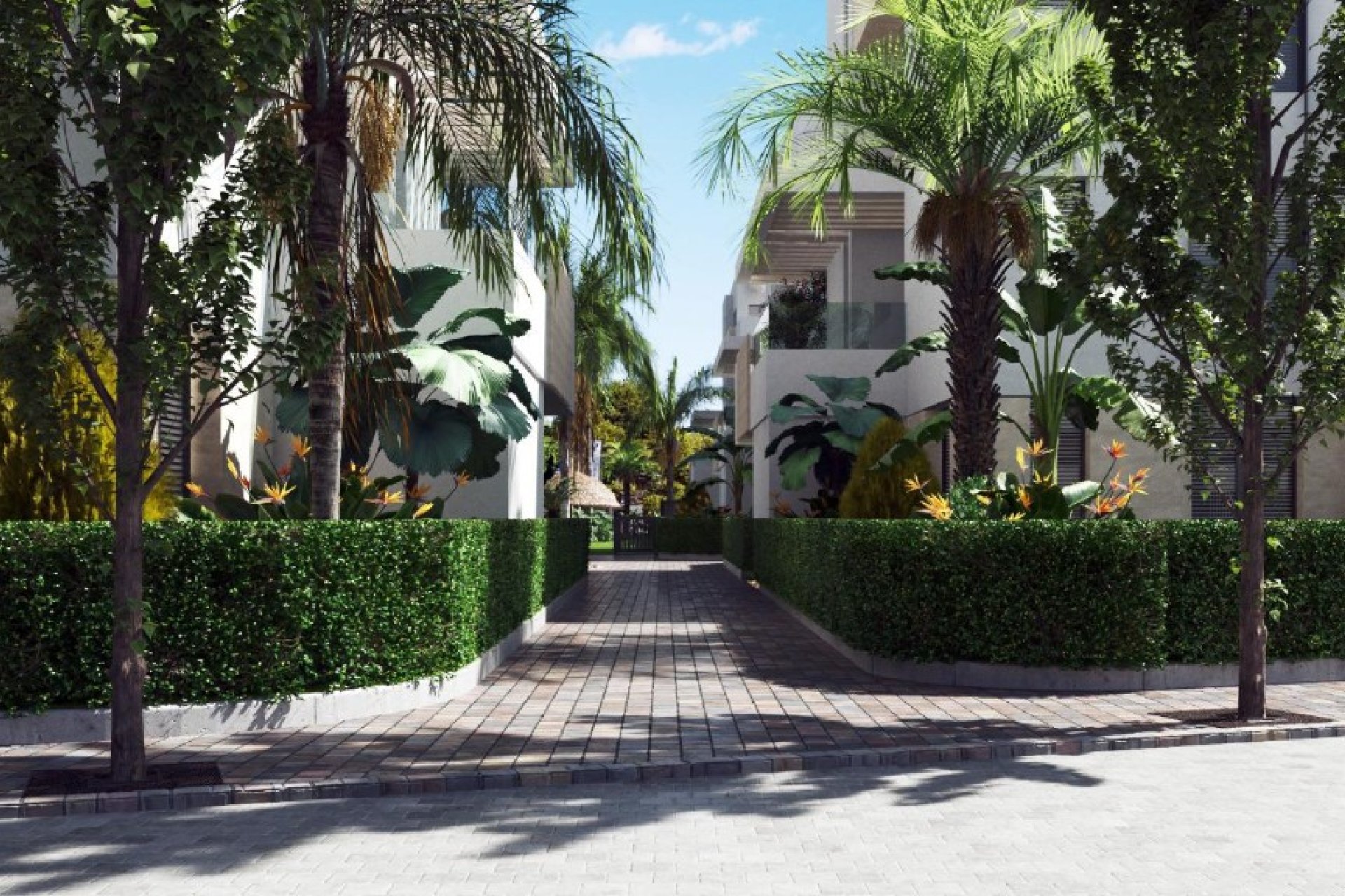 Rynek pierwotny - Apartament - Los Alcázares