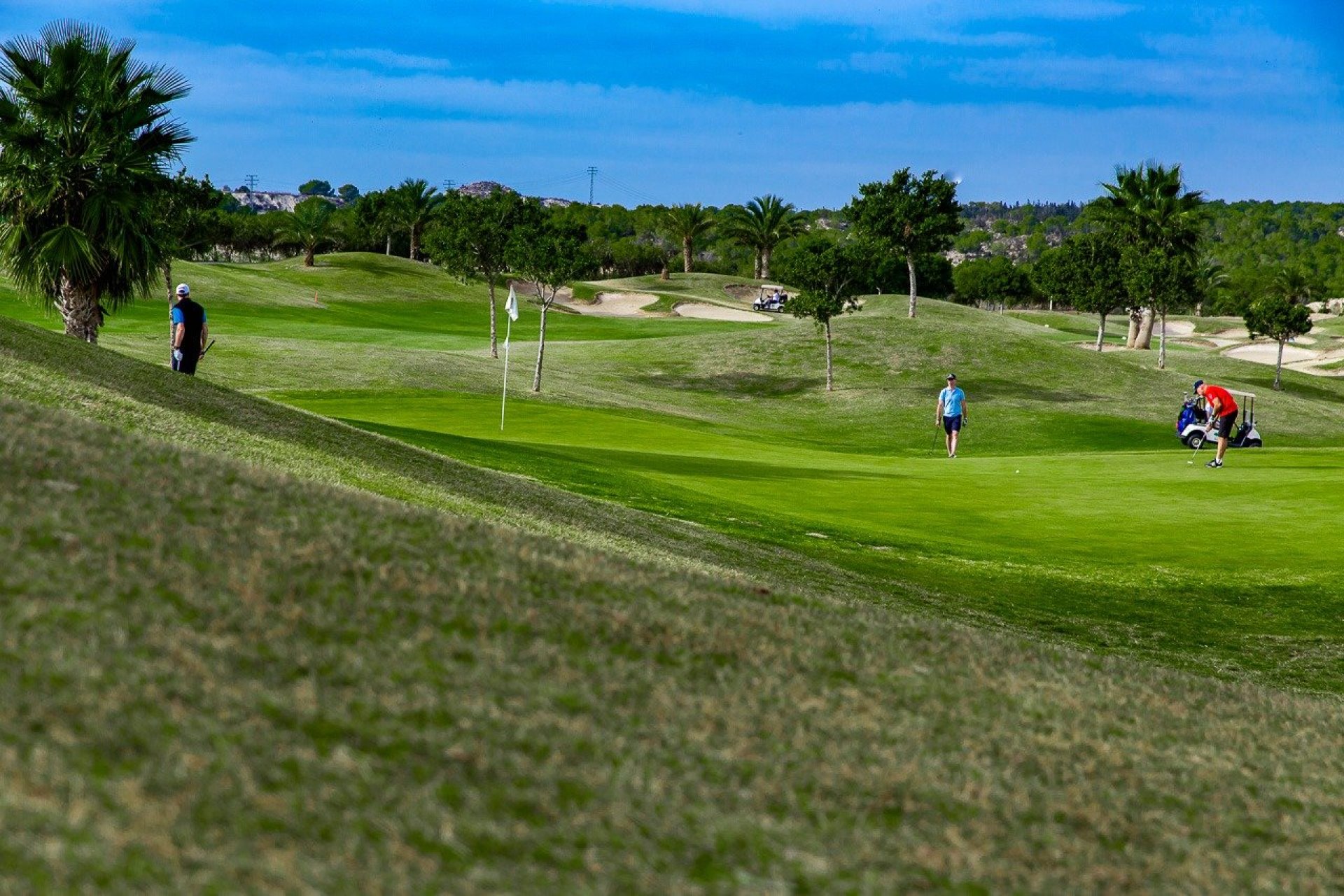 Rynek pierwotny - Bungalow - Orihuela Costa - Vistabella Golf
