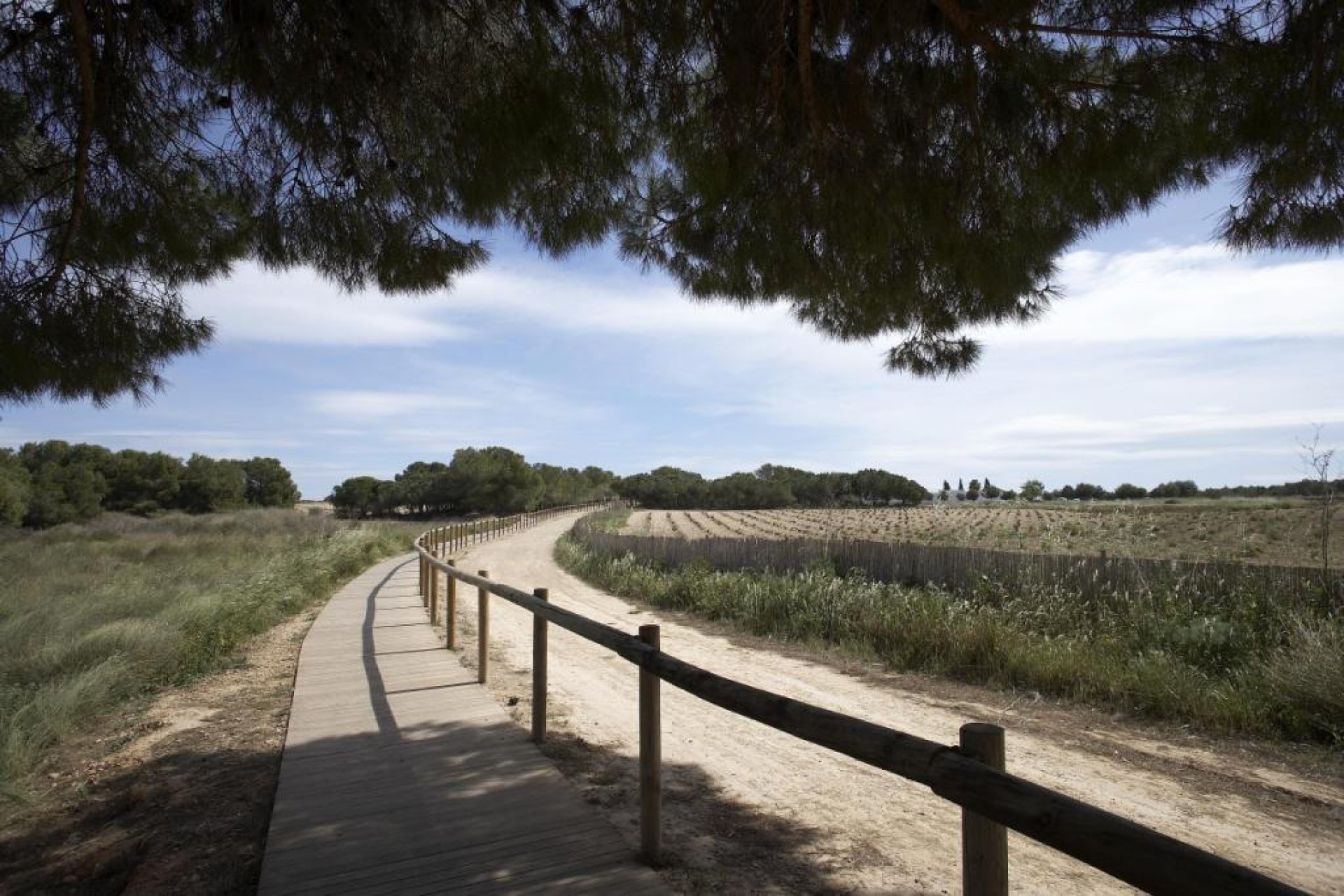 Rynek pierwotny - Bungalow - Torrevieja - Aguas Nuevas